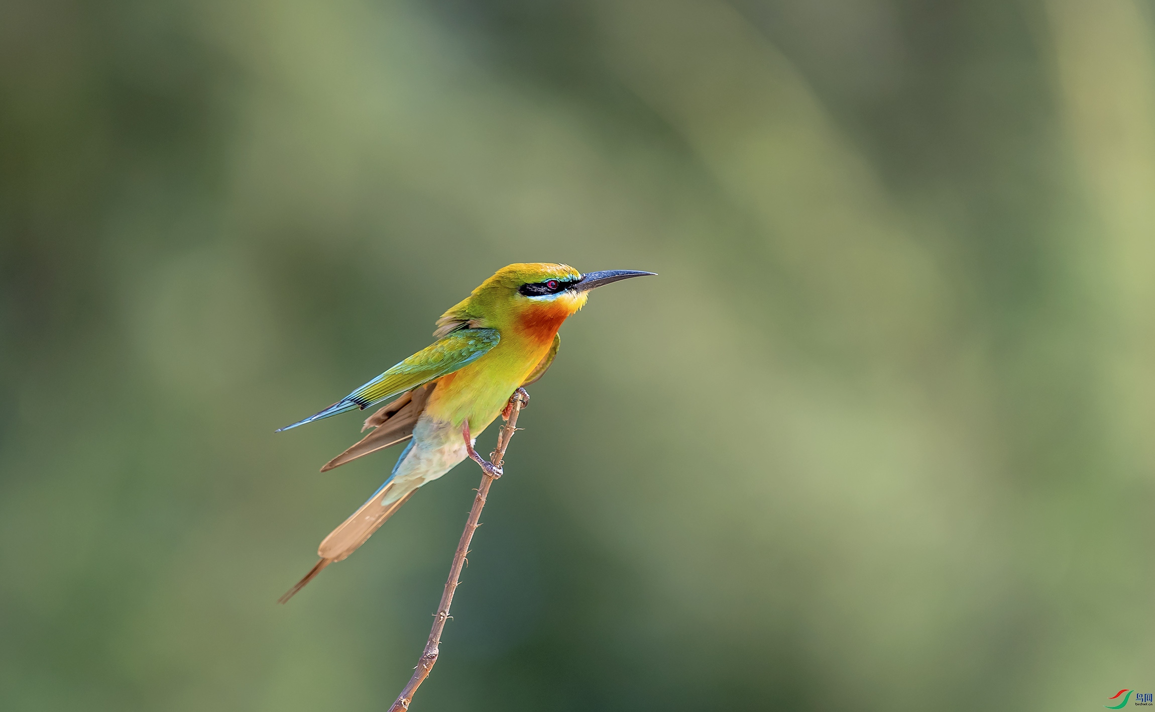 DSC_3973.jpg