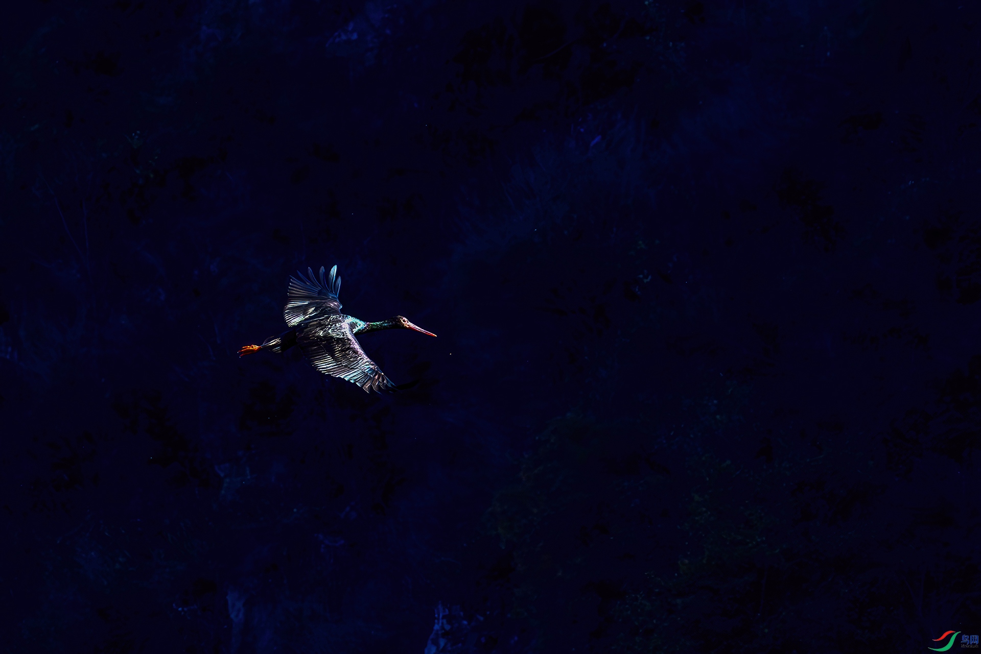 _07A0143-----33  .jpg