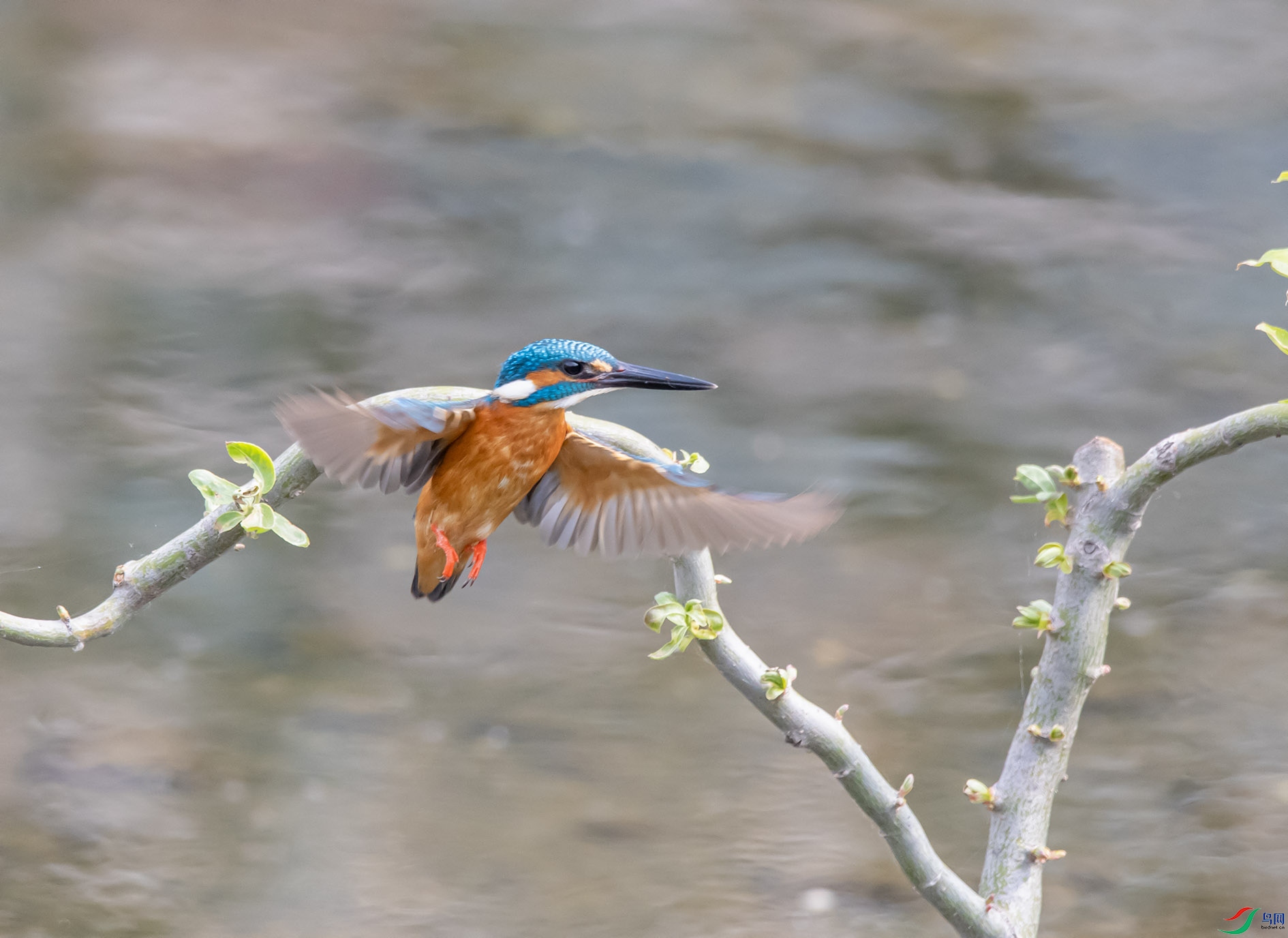 DSC_0593_��ͼ�� ����.jpg