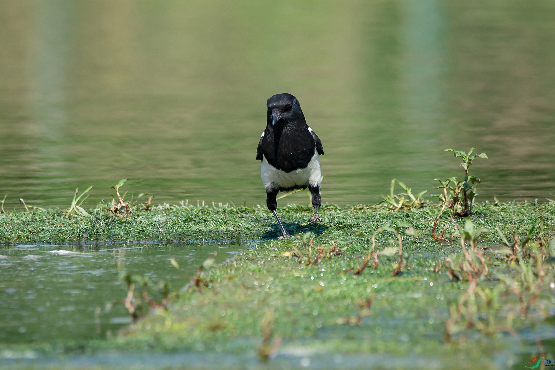 _DSC1795-20220518�ü�-.jpg