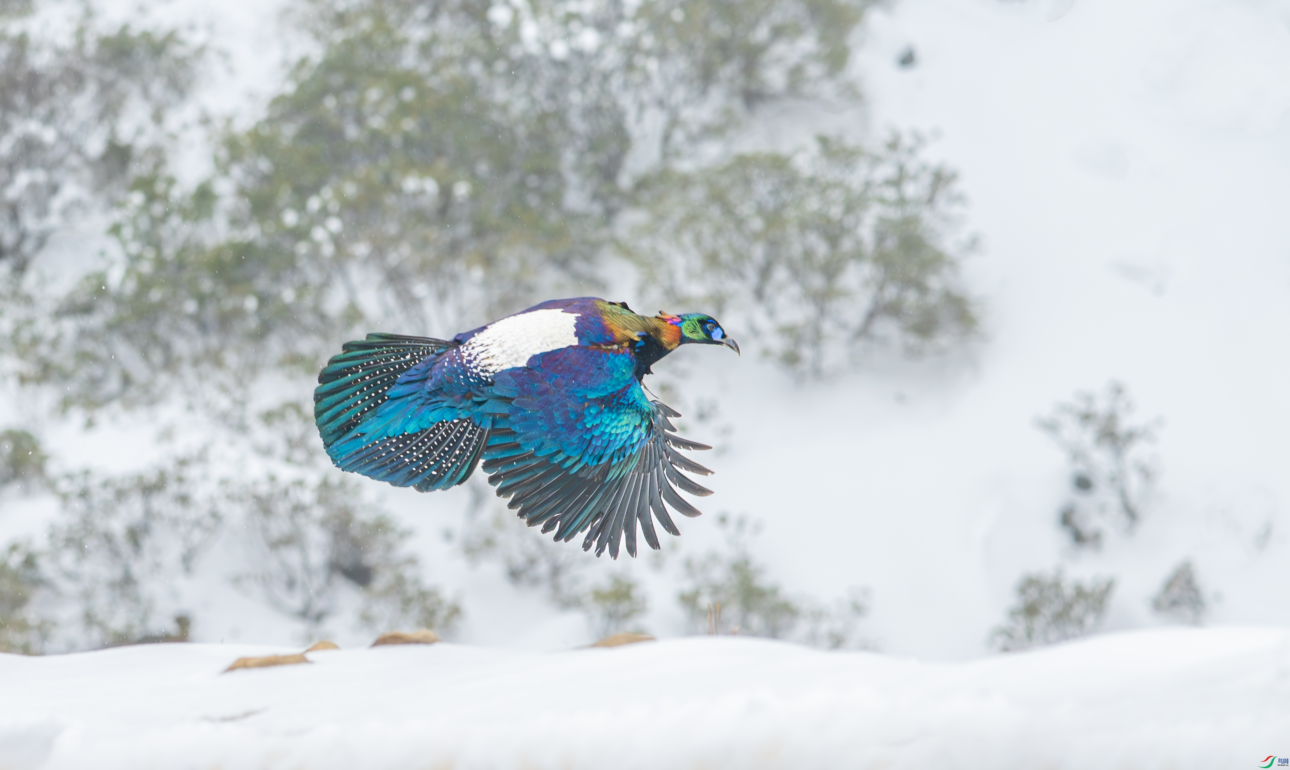 DSC_5876-1.jpg