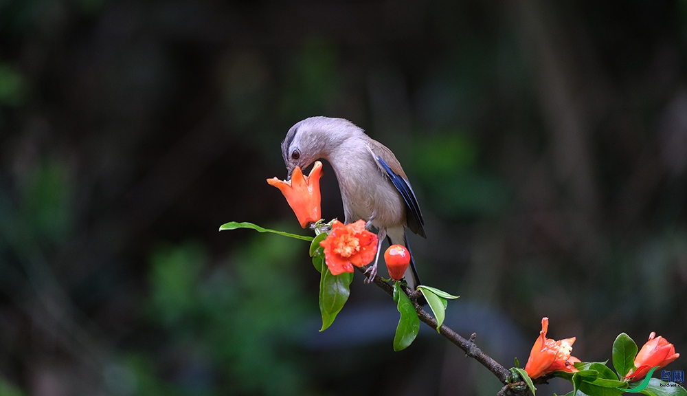 DSCF5054.1.jpg