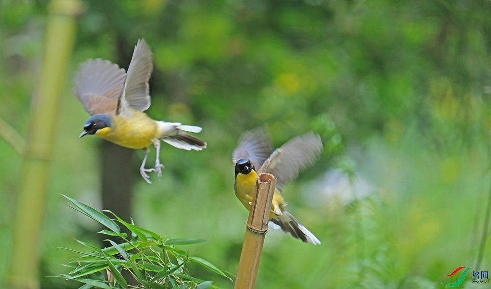 DSCF7295.1.jpg