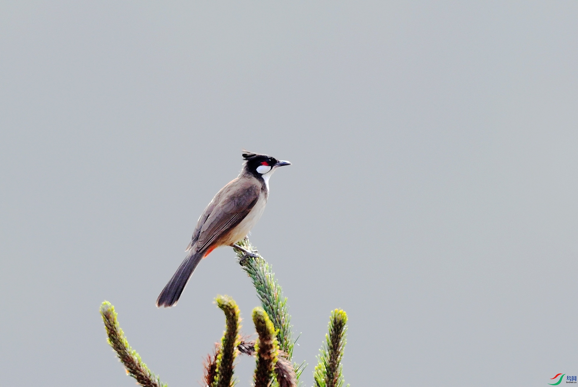 DSC_3143.jpg