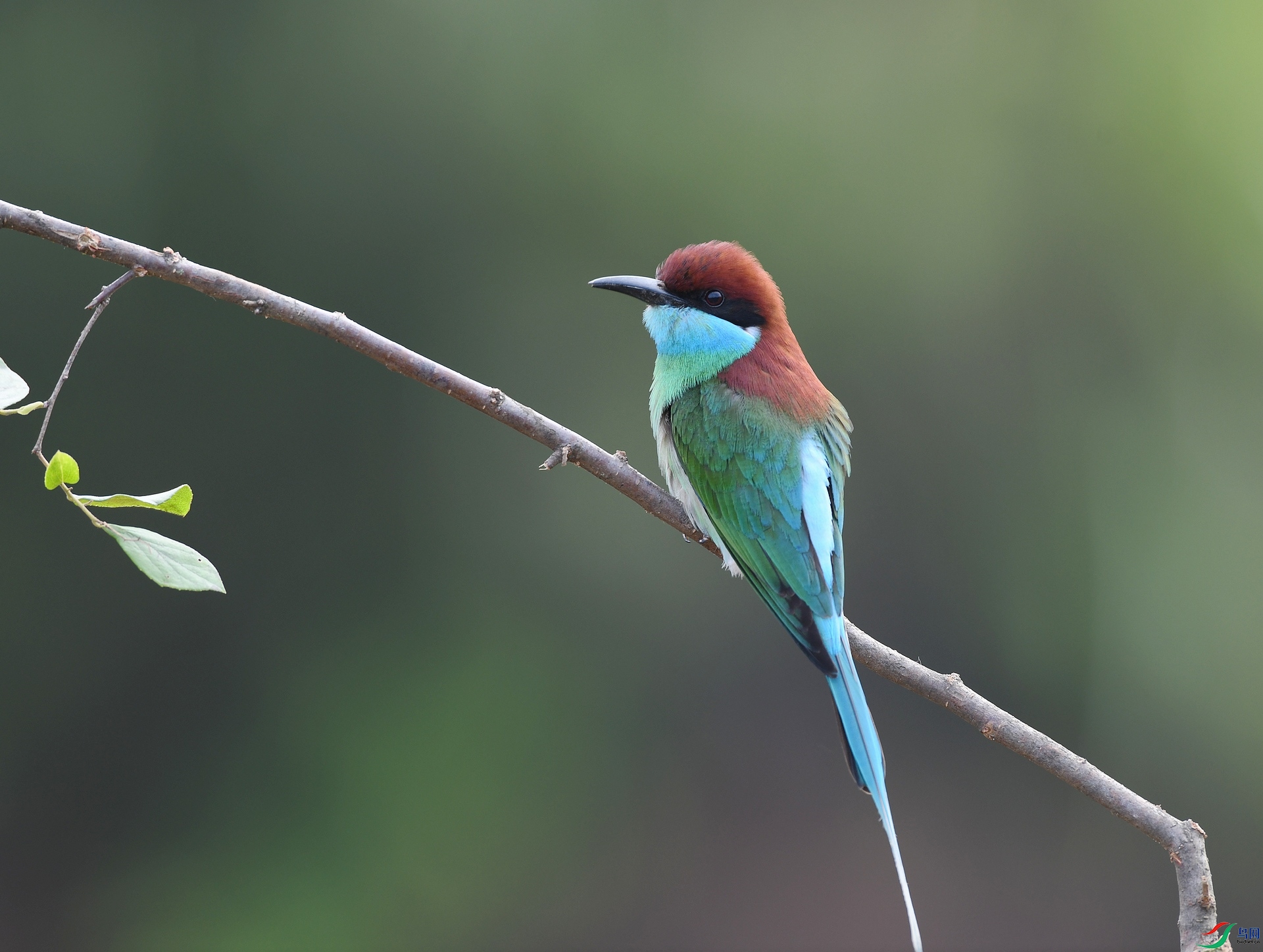 DSC_3057.jpg