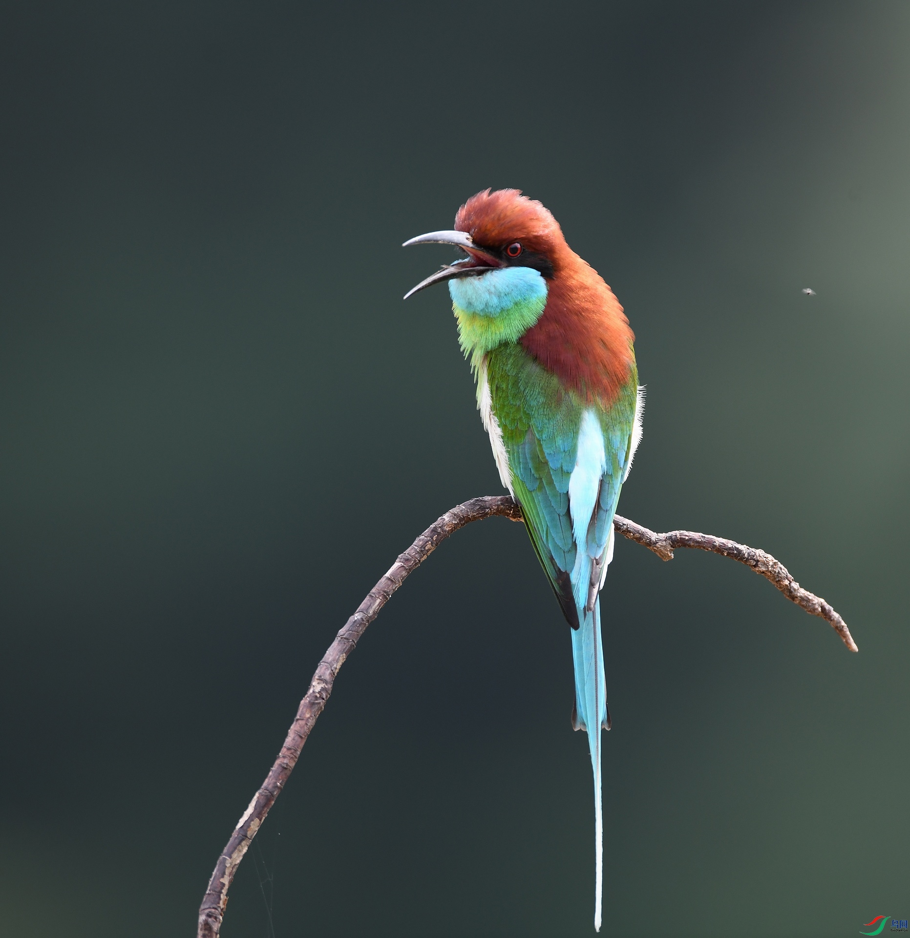 DSC_0414.jpg