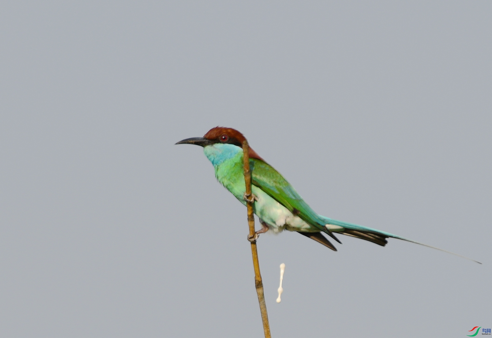 DSC_3160.jpg