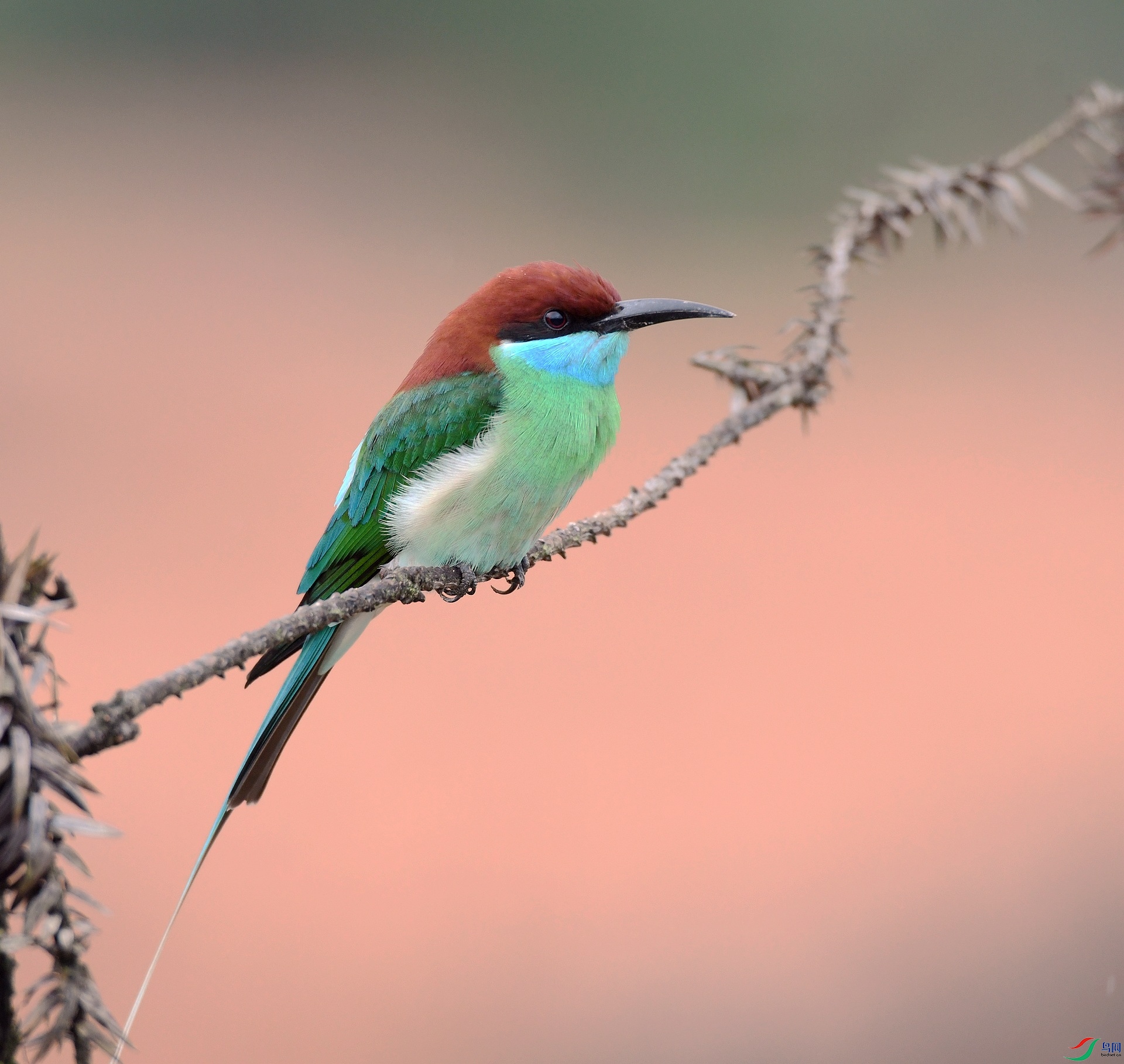 DSC_5070.jpg