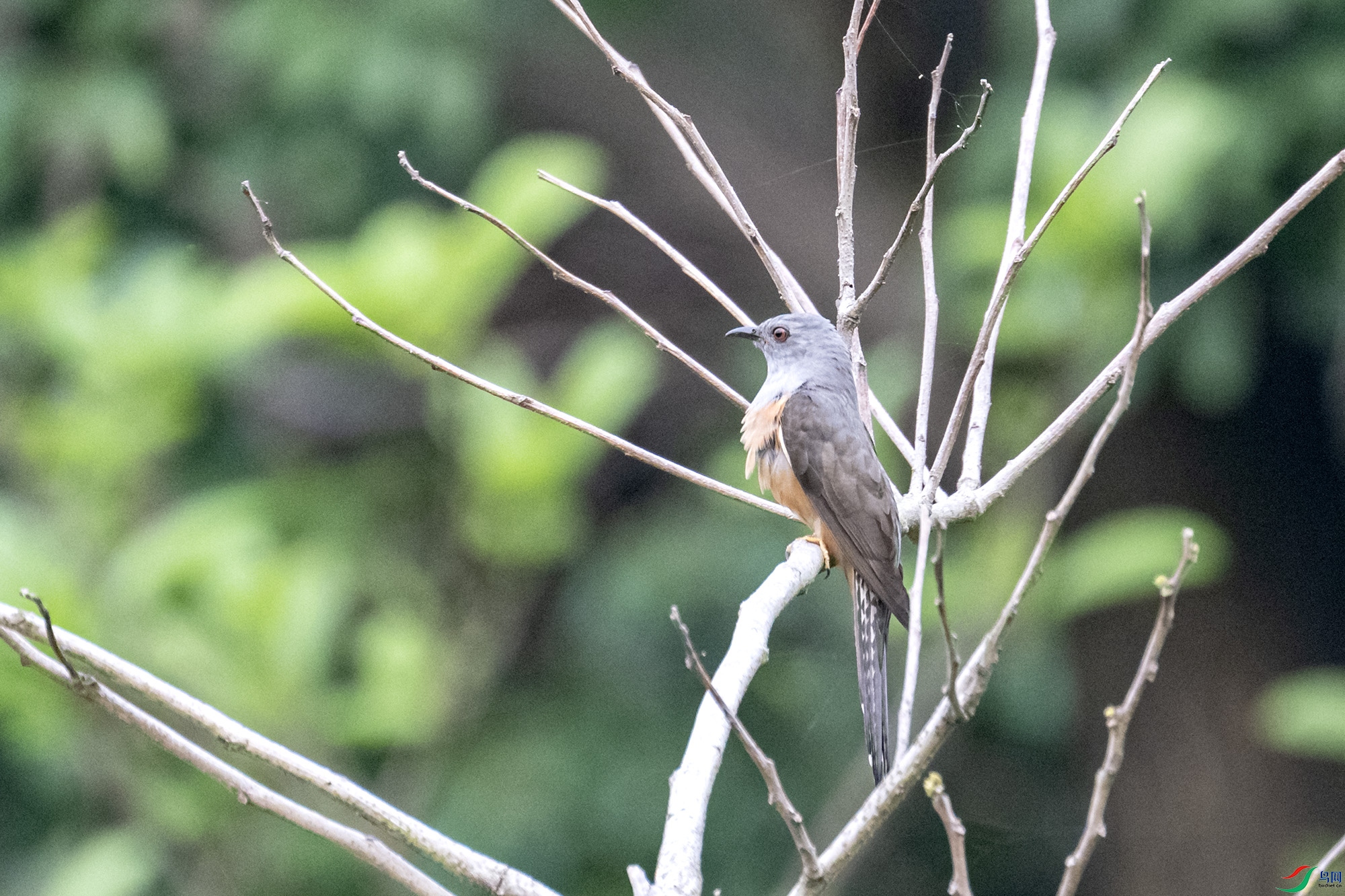 DSC_7788.jpg