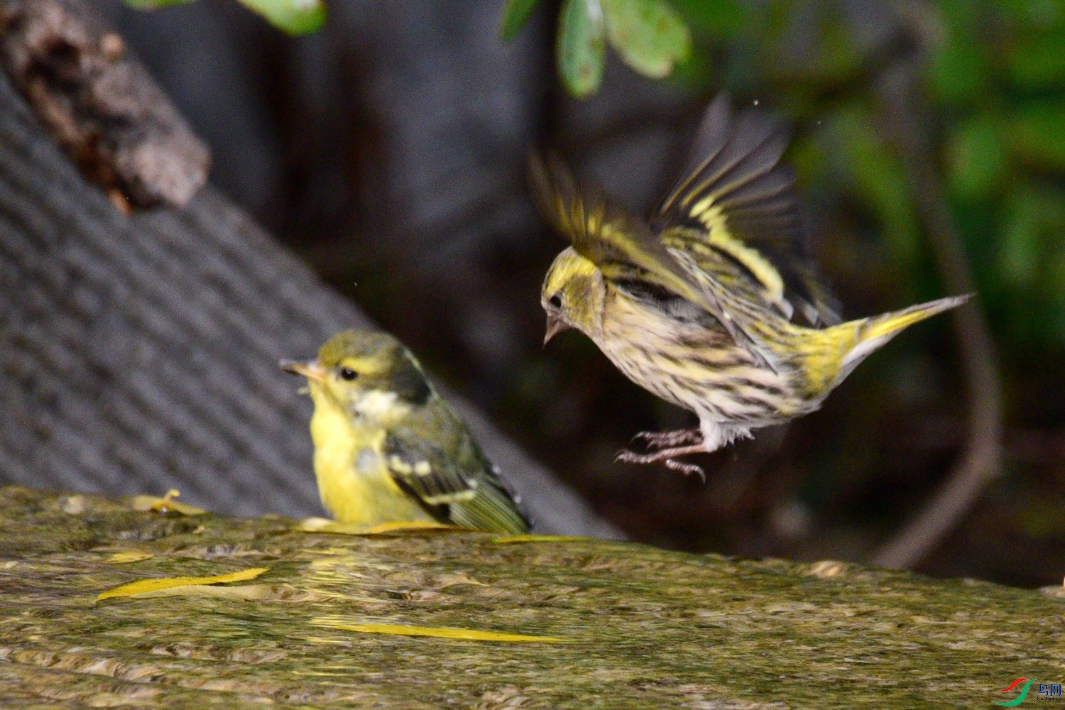 DSC_6572.JPG