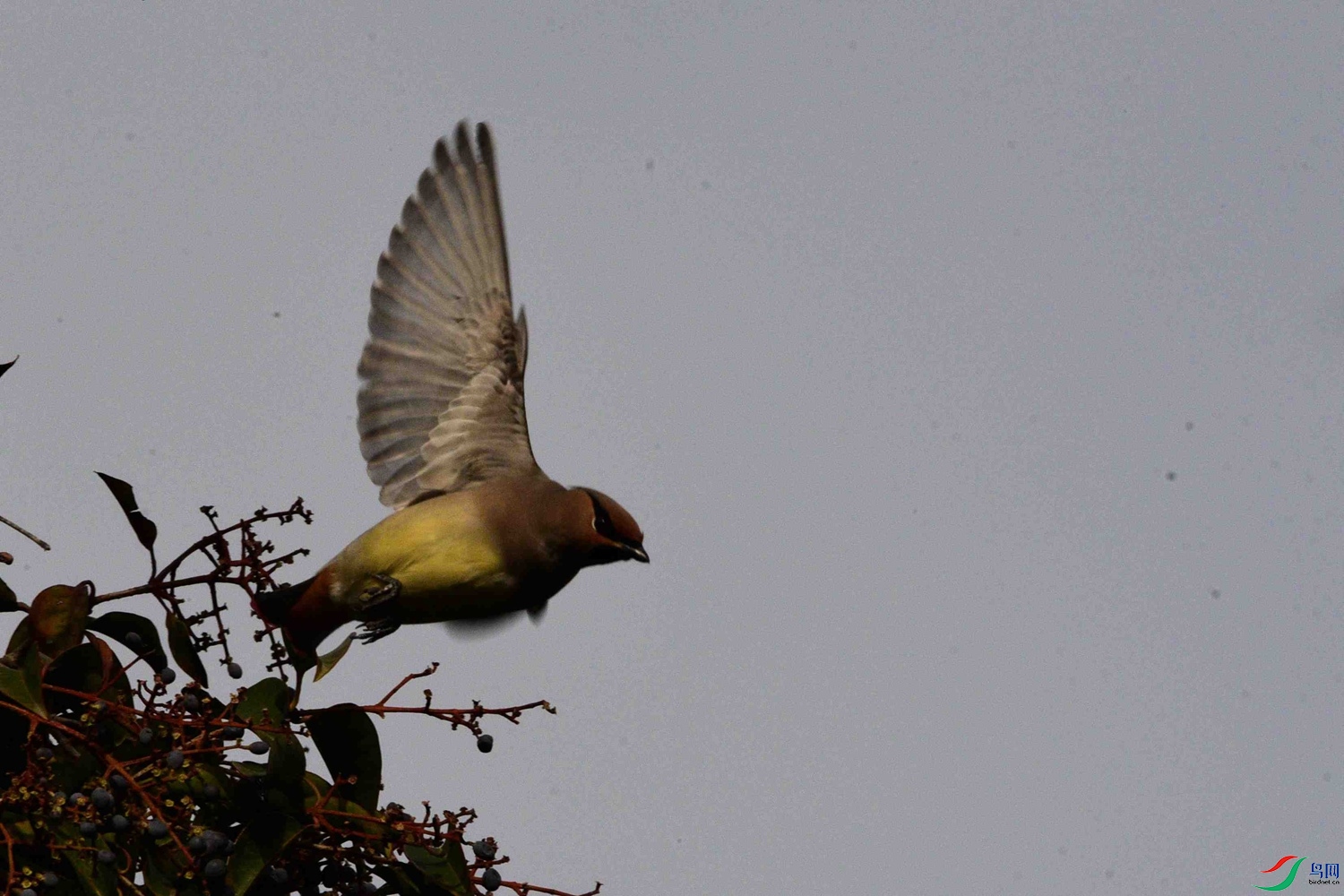 DSC_7658.JPG