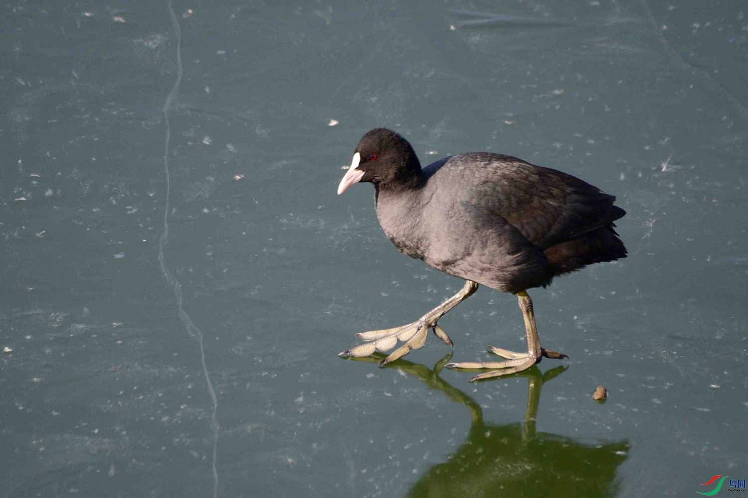 DSC_9466.JPG