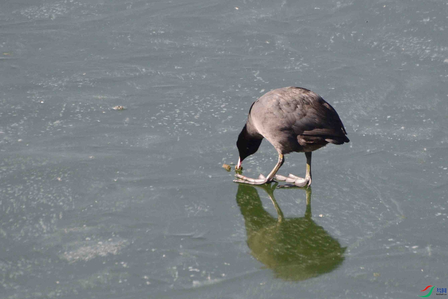 DSC_9445.JPG