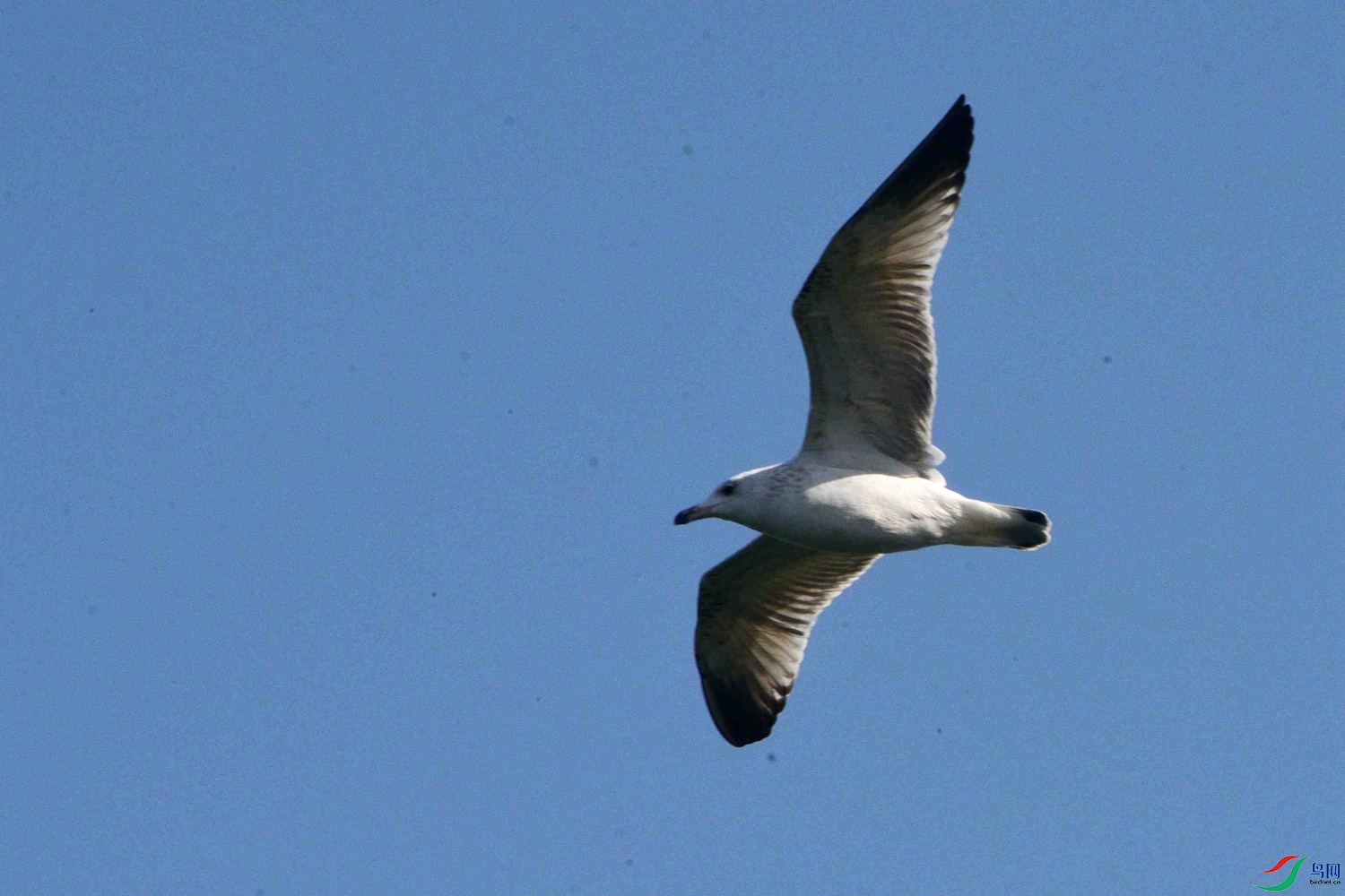 DSC_9758.JPG