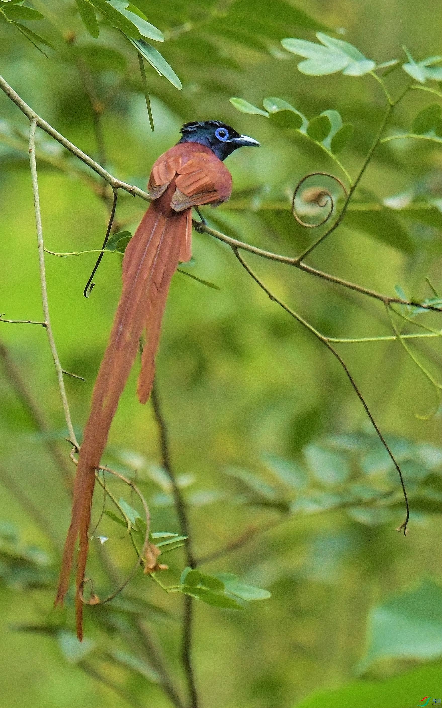 DSC_3143.JPG