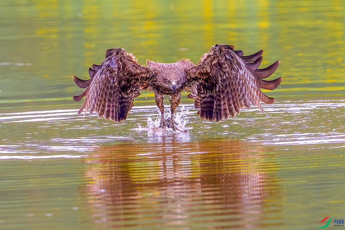 DSC_8465b.jpg