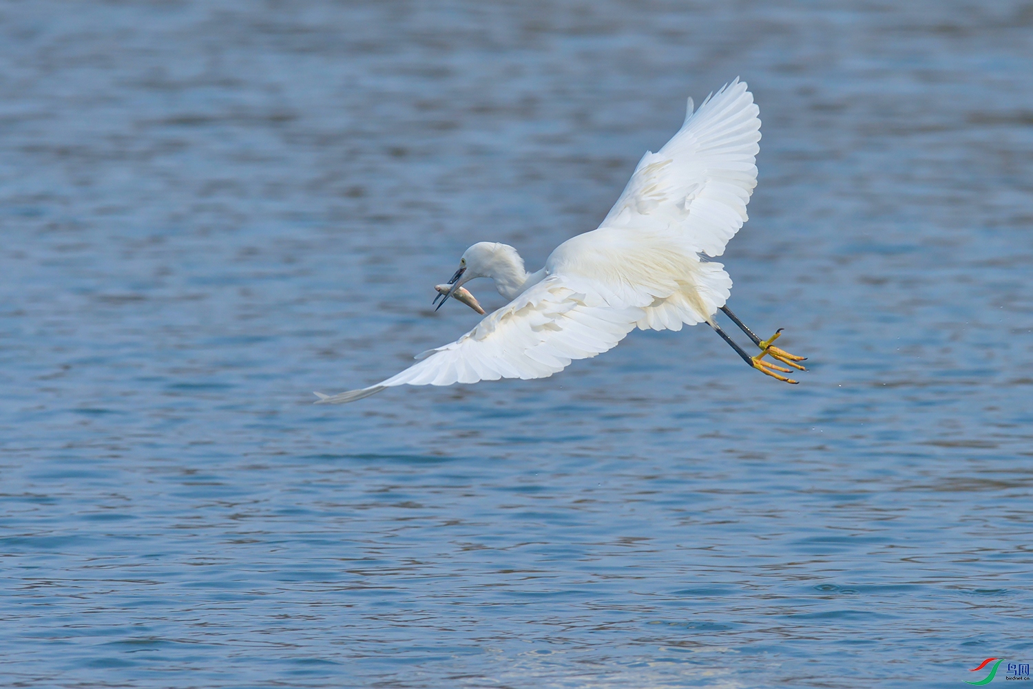 DSC_7732_DxOa.jpg