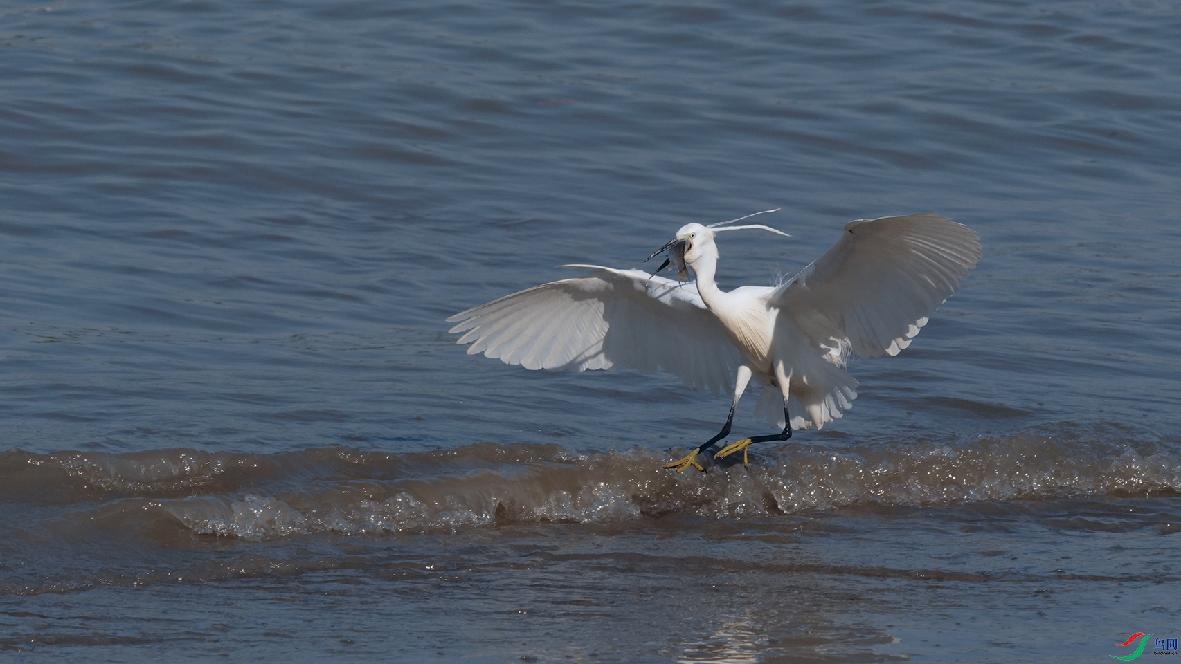 DSC_6358_DxOa.jpg