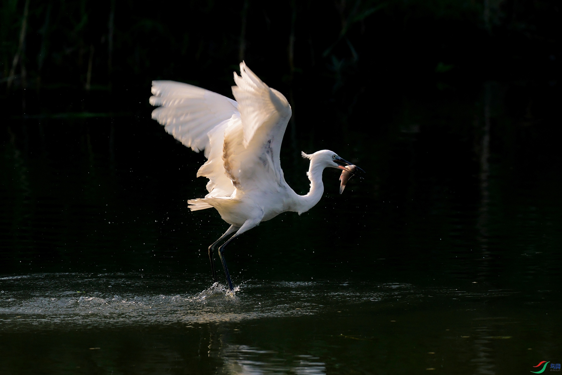 DSC_1496_DxOa.jpg