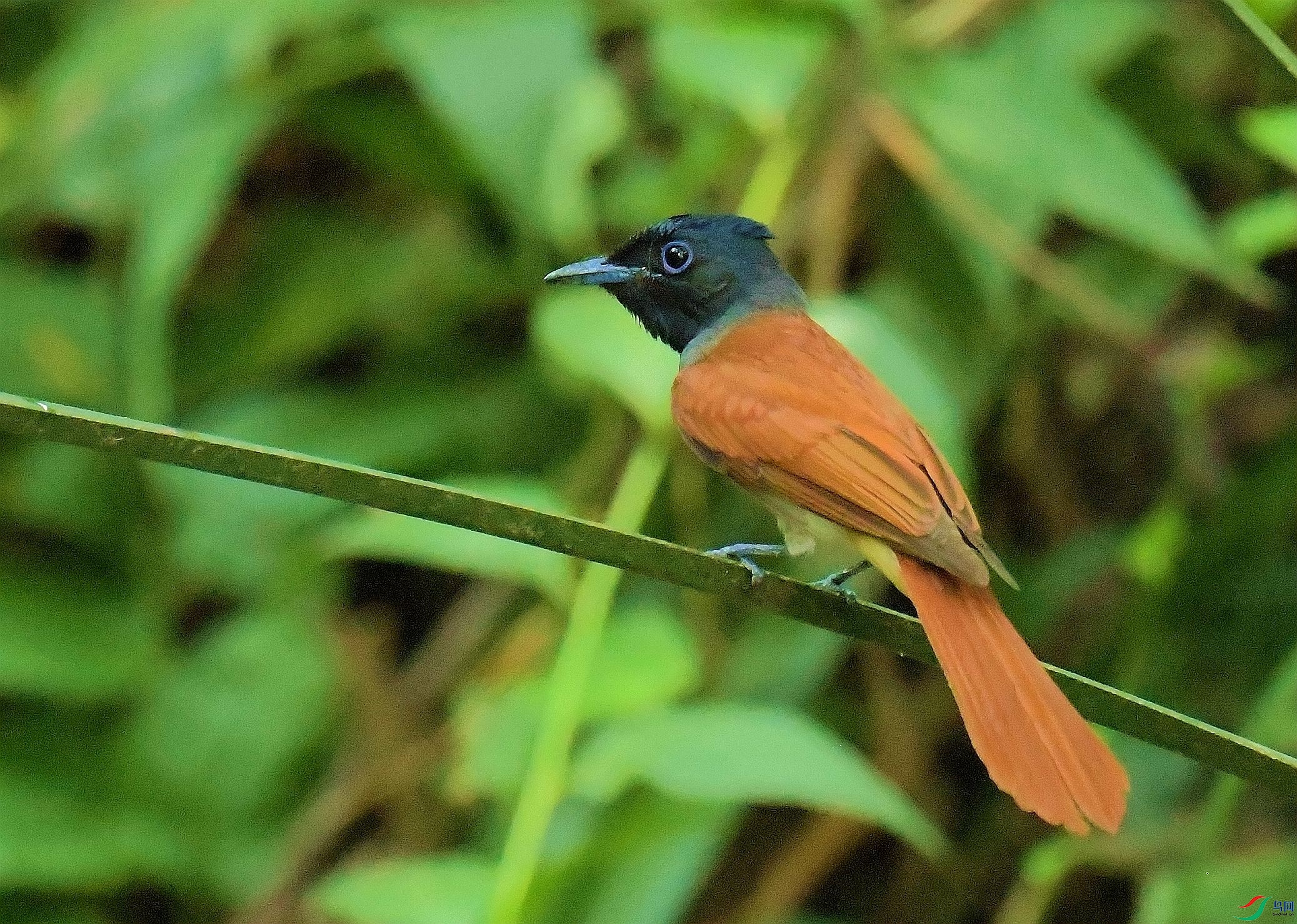 DSC_3373.JPG