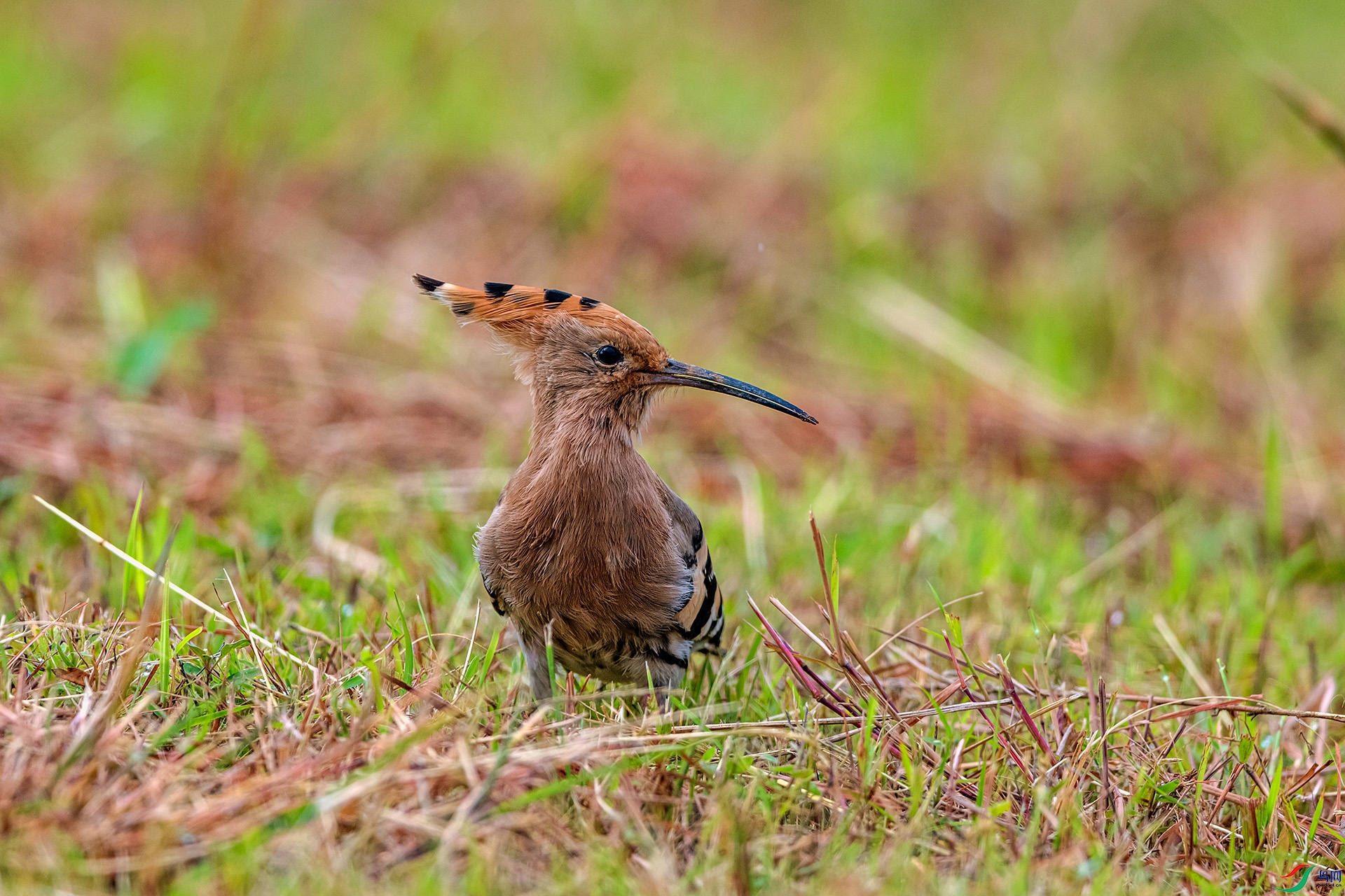 _AUU0253 ��ʤ(25.9.22).jpg