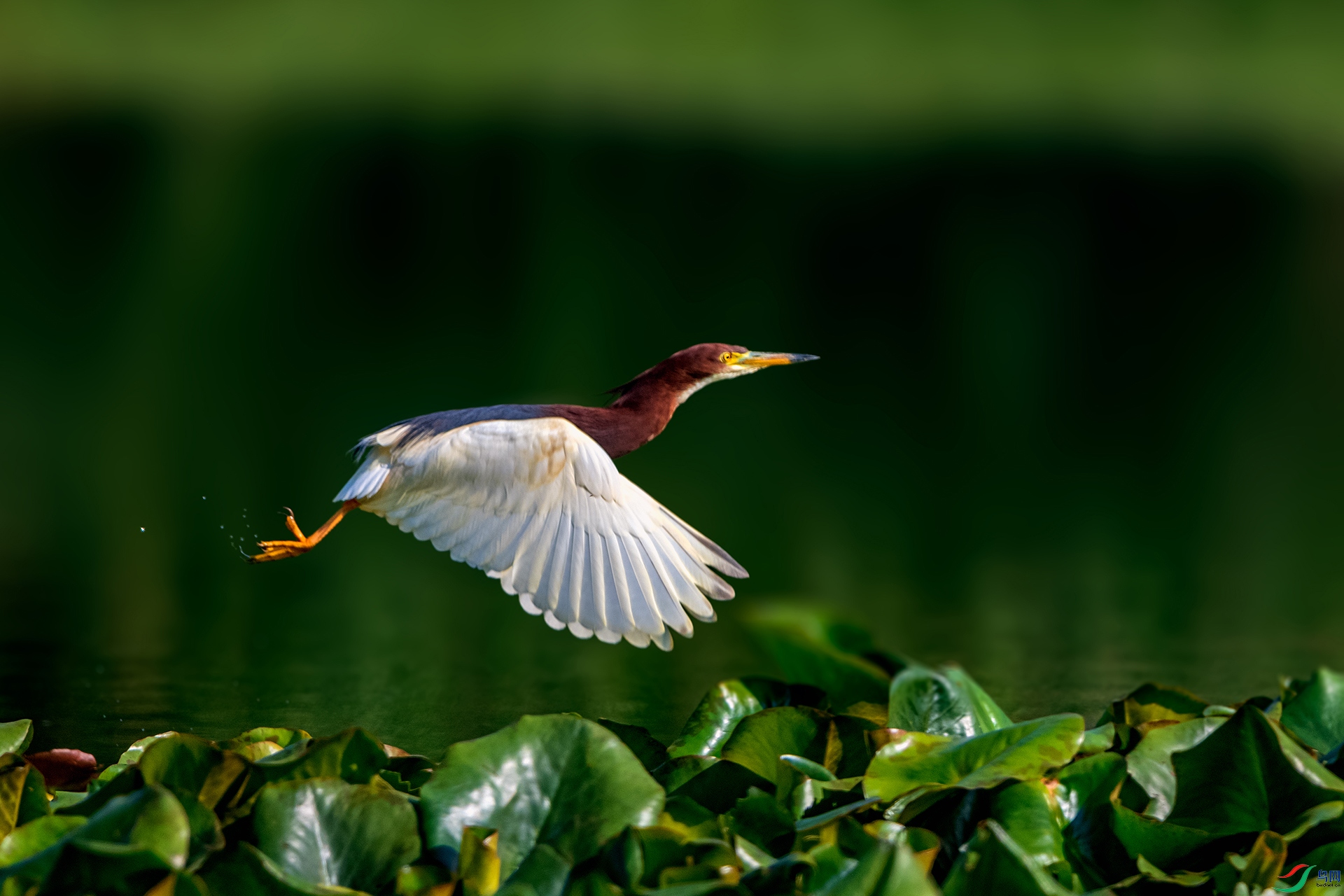 _AUU0755 ����(26.4.8).jpg
