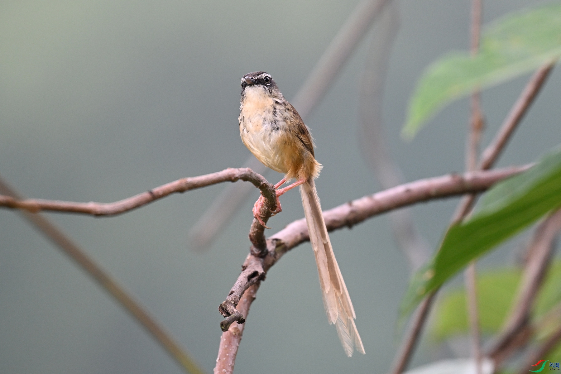 DSC_0055.JPG