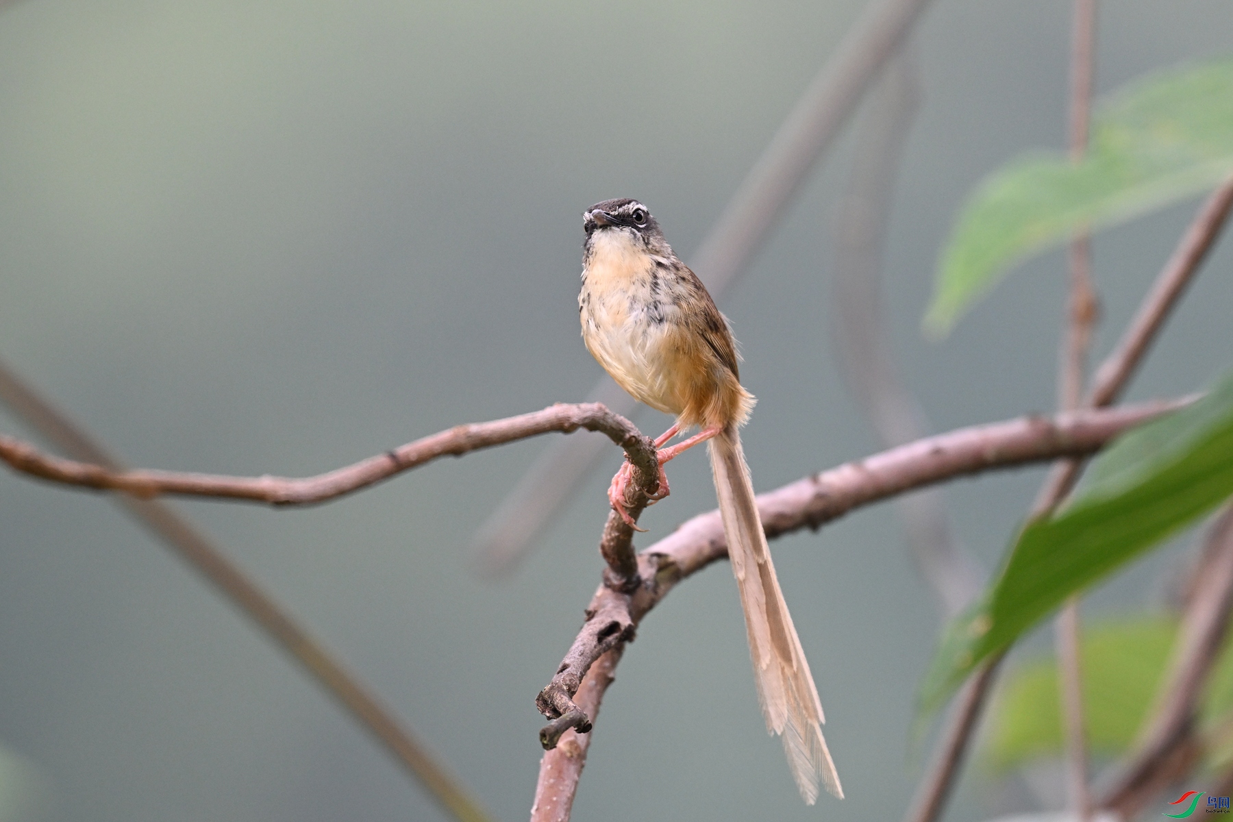 DSC_0056.JPG