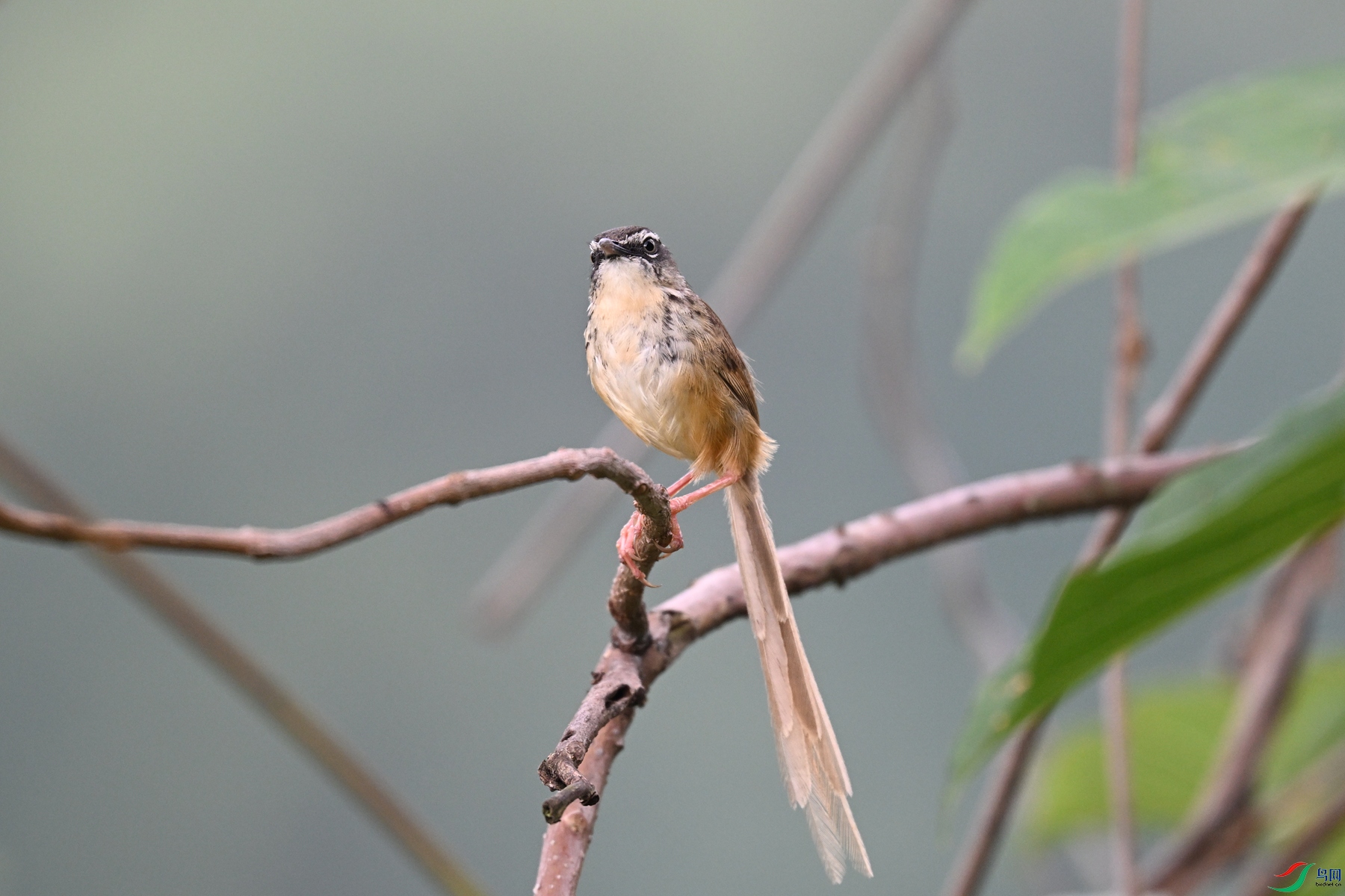 DSC_0057.JPG