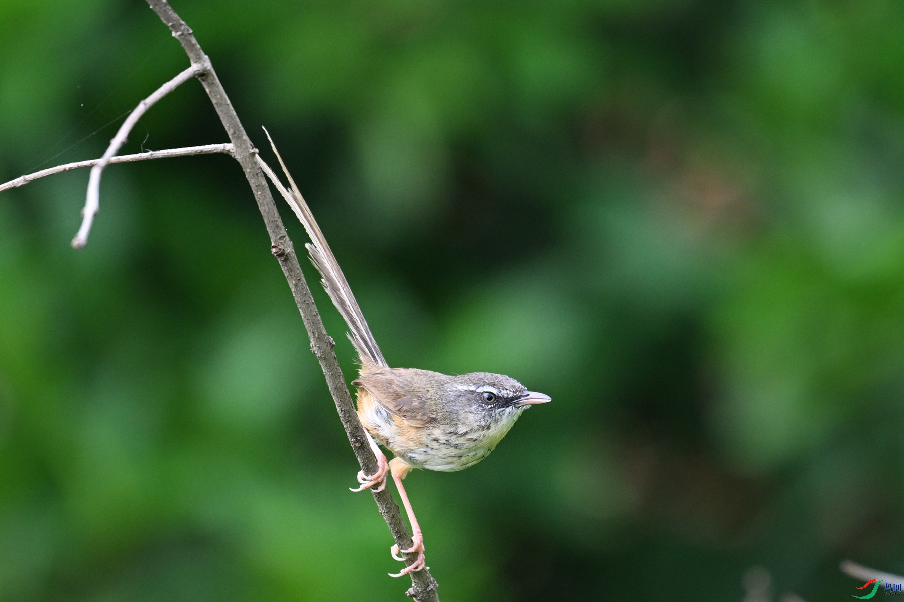 DSC_0073.JPG
