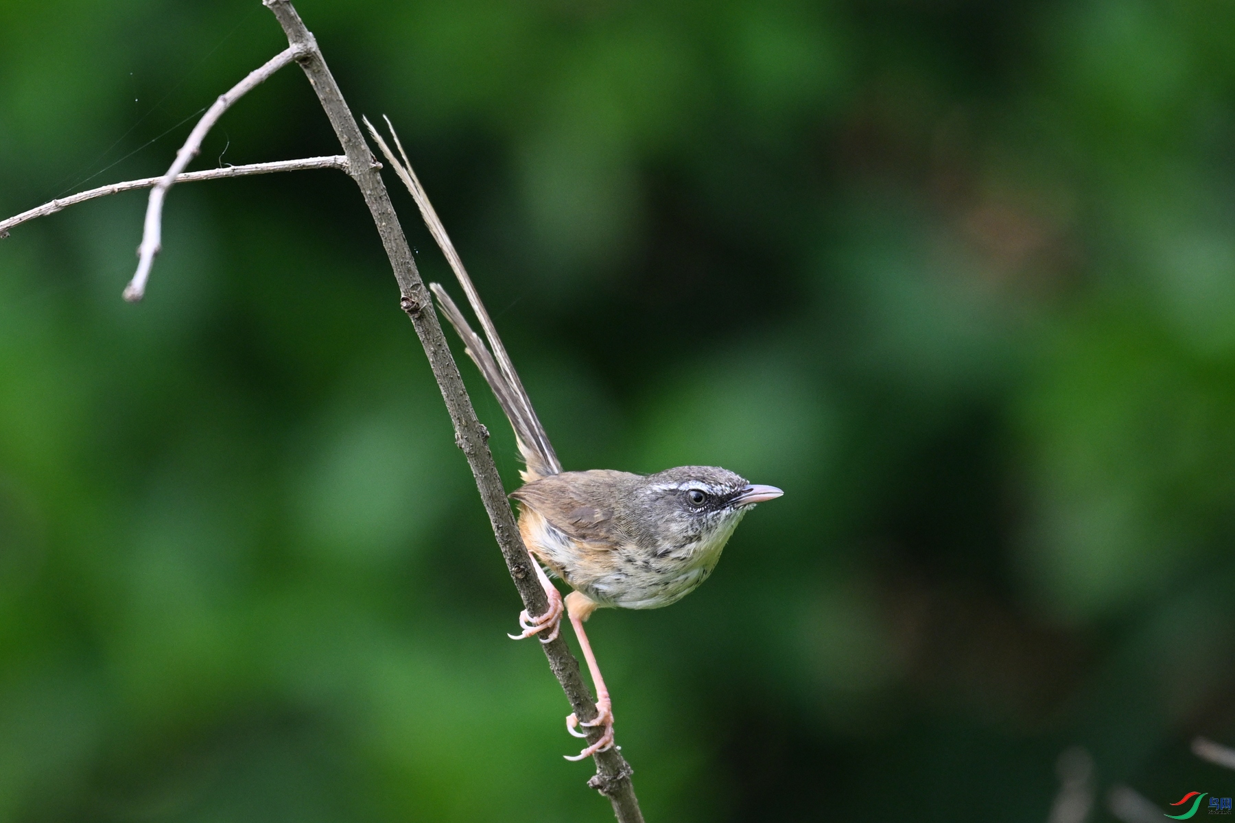 DSC_0069.JPG