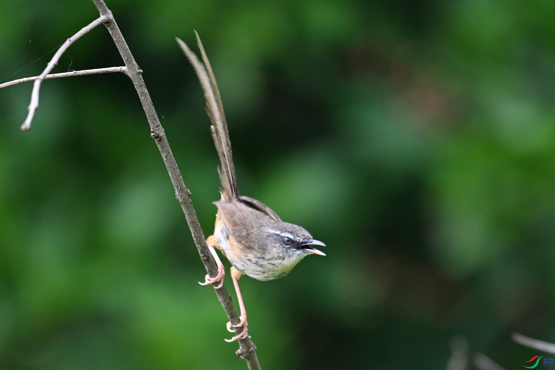 DSC_0072.JPG