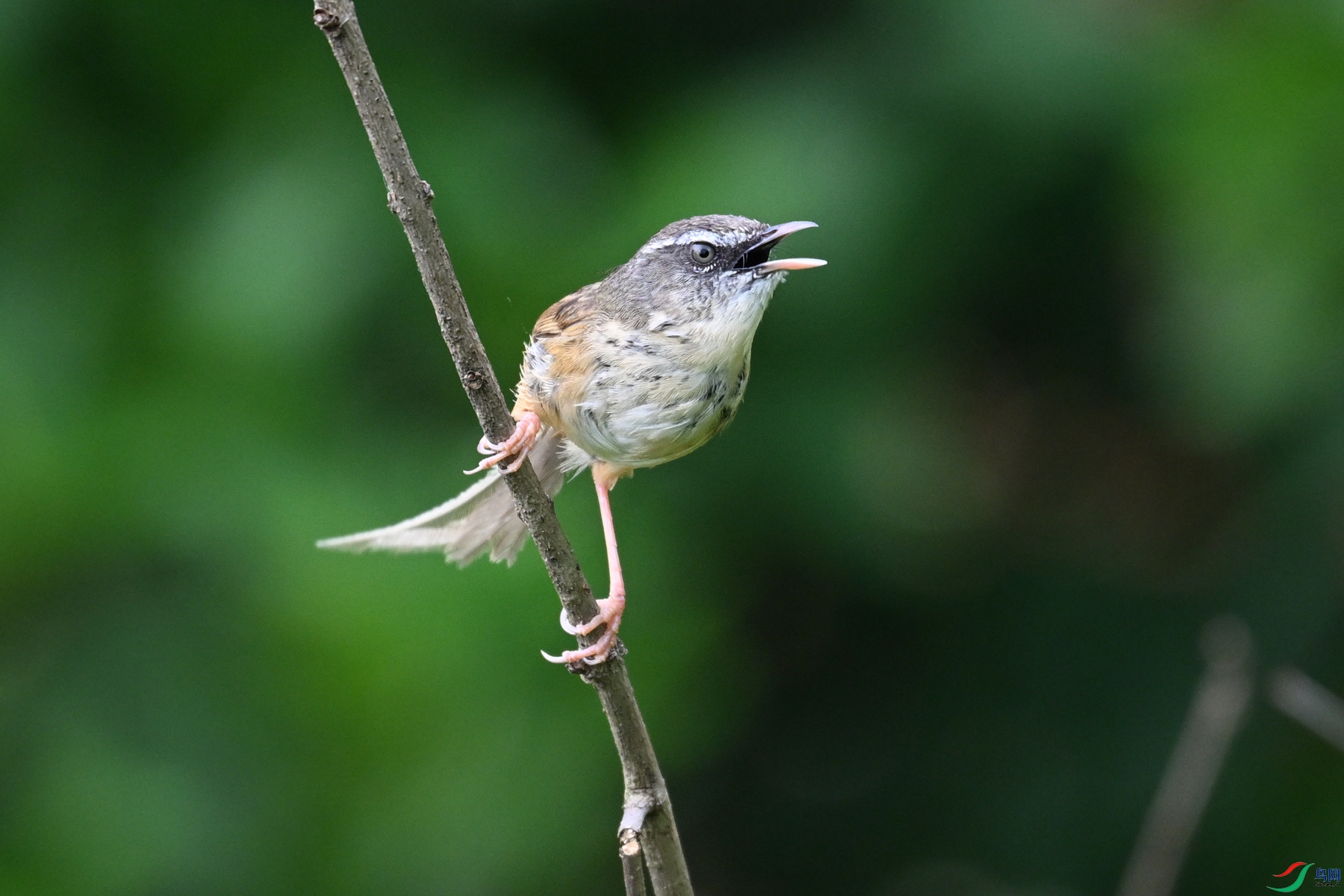 DSC_0076.JPG