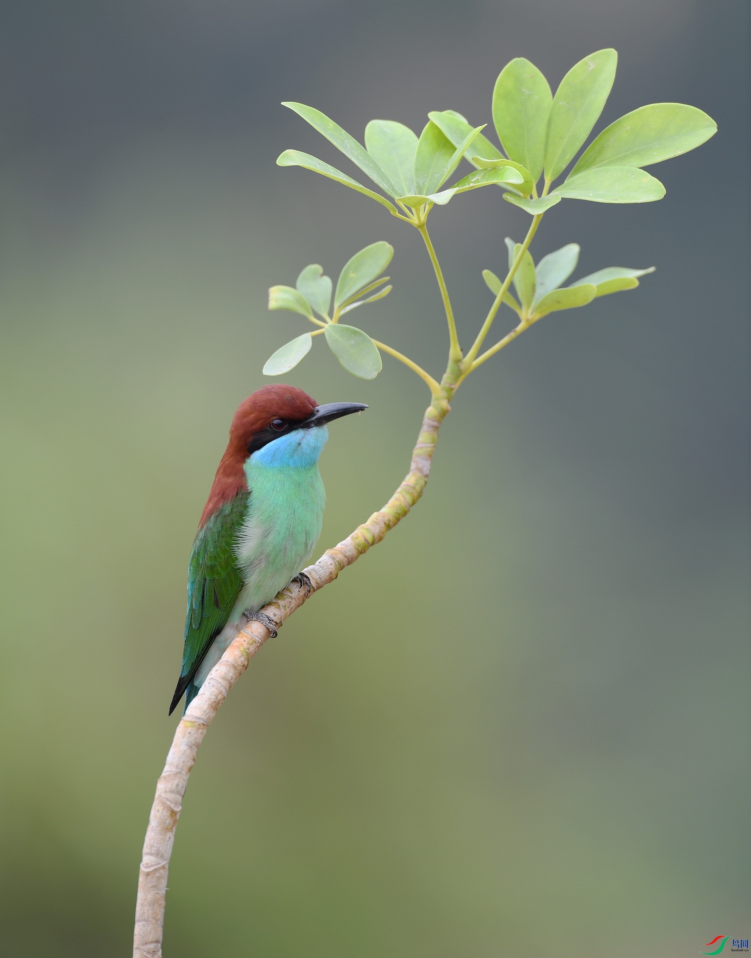 DSC_0756.jpg