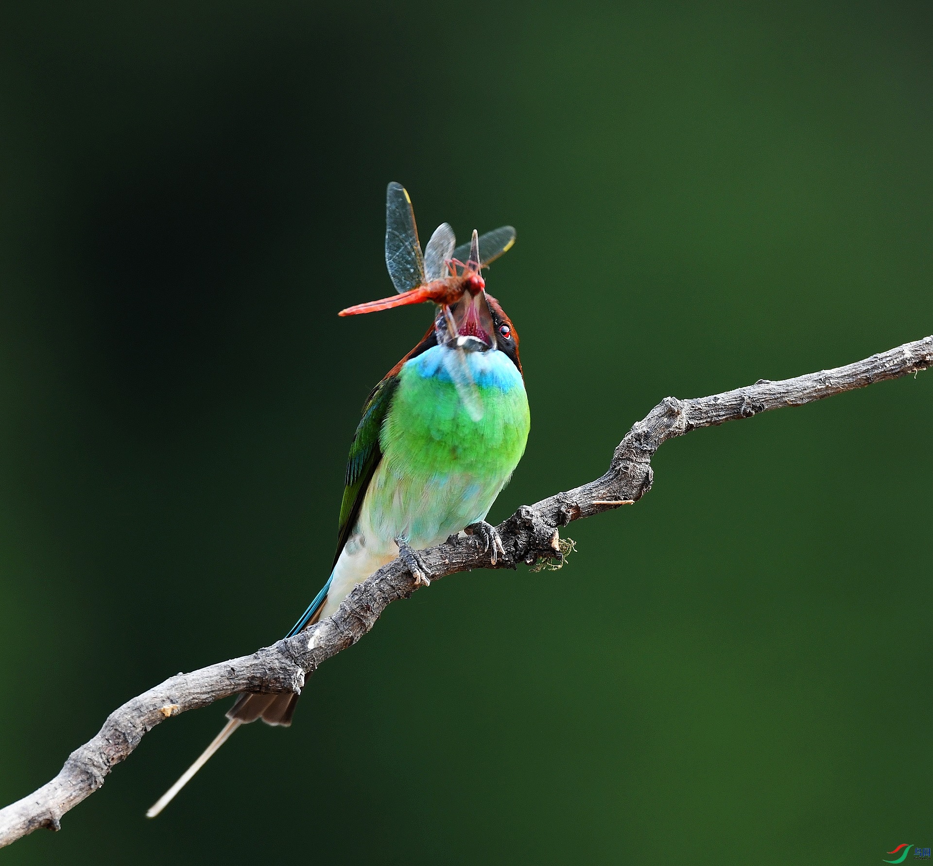 DSC_5052.jpg