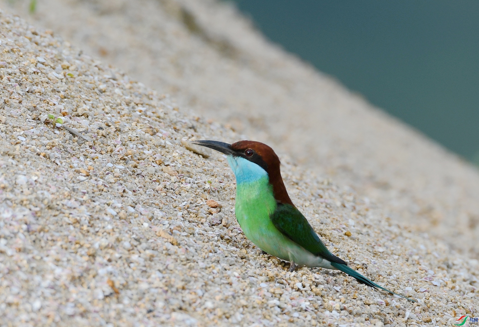 DSC_3211.jpg