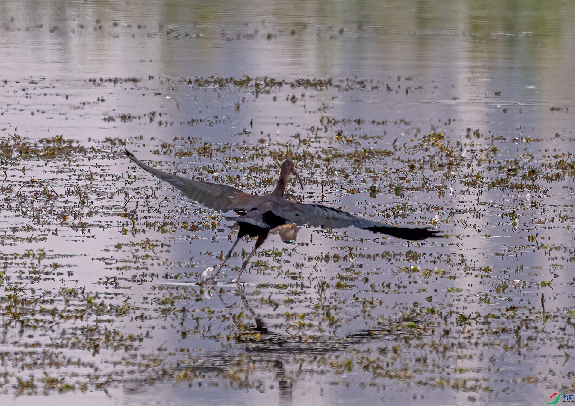 DSC_5327-11.jpg
