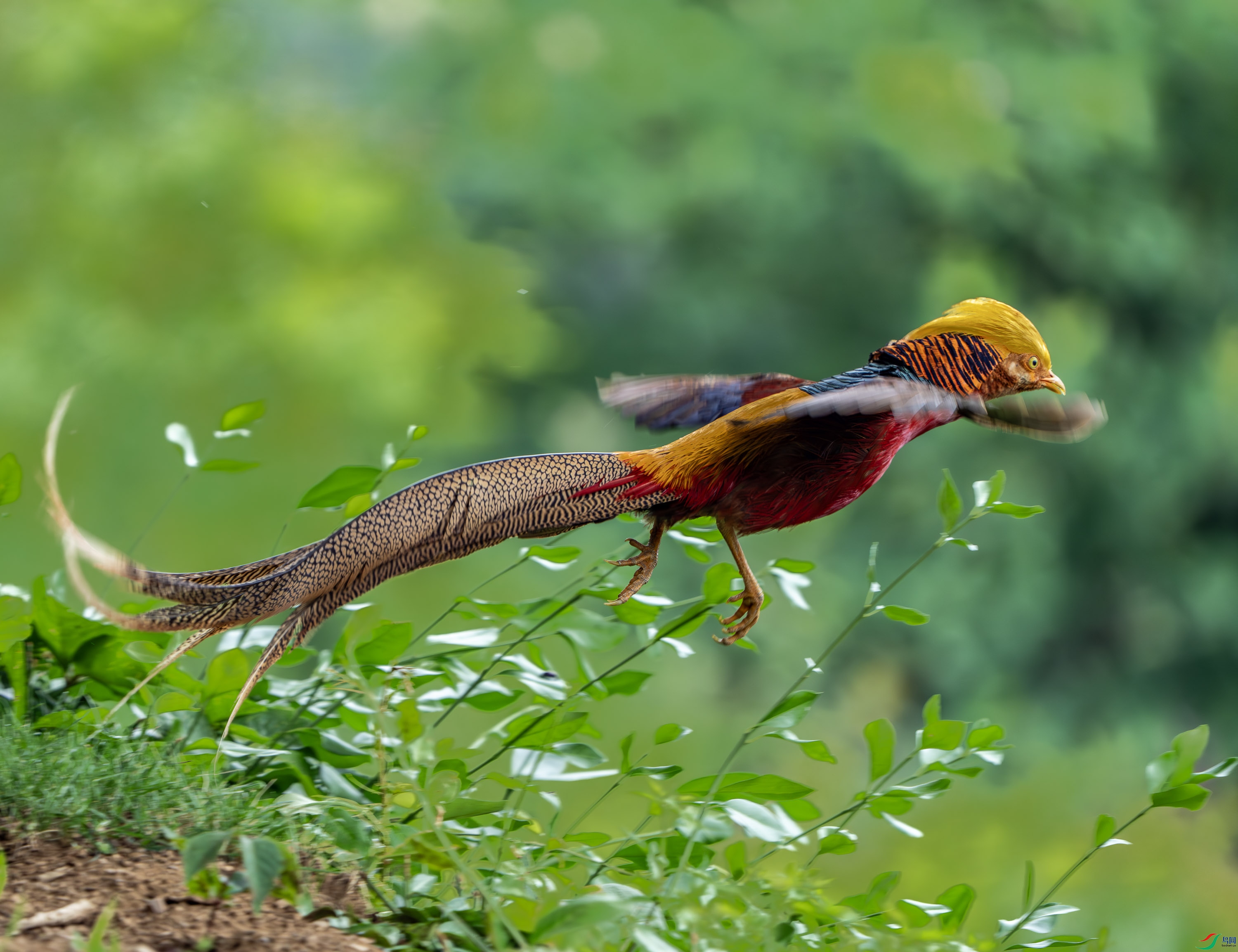 �츹����-27.jpg