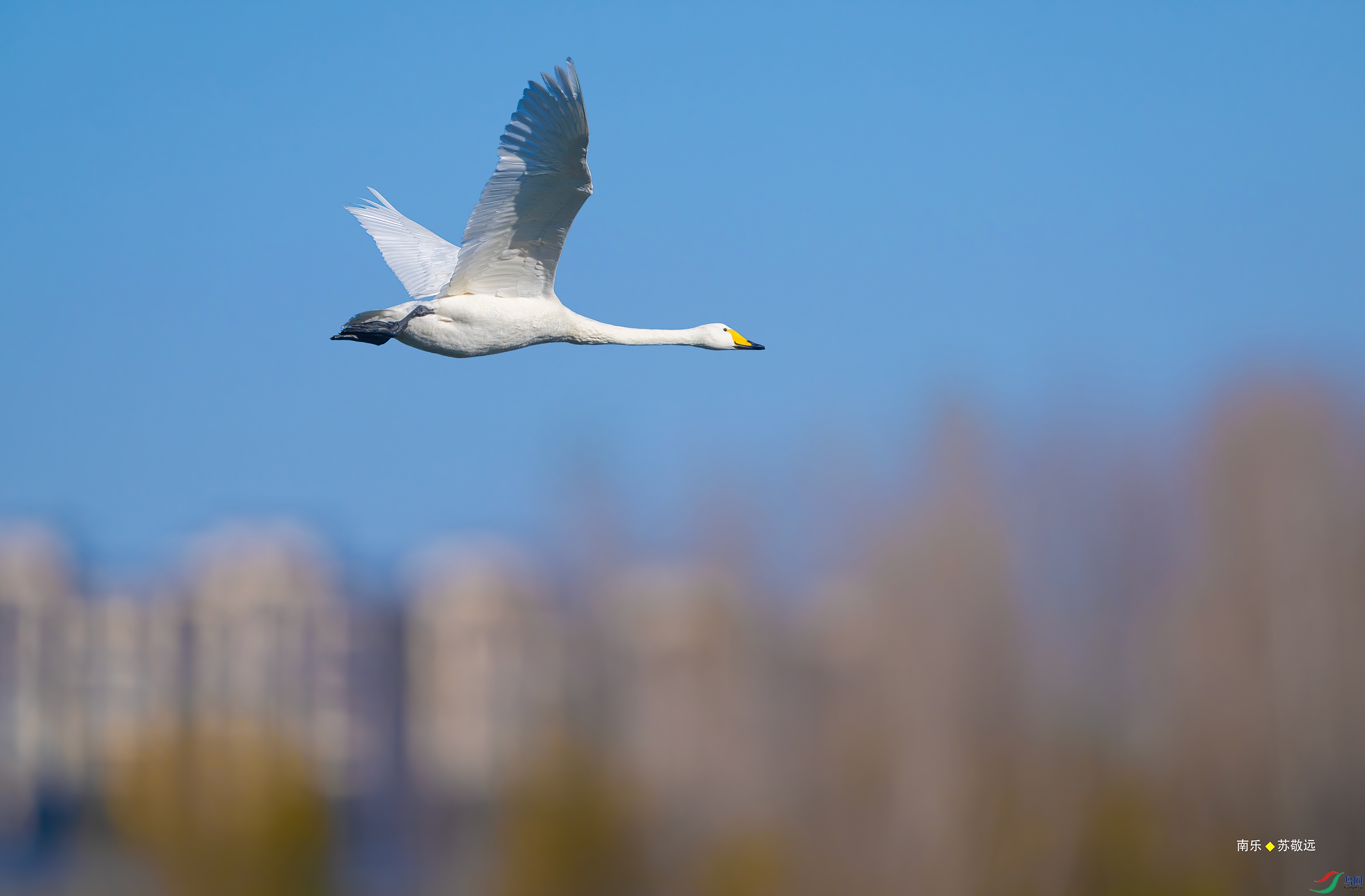 _DSC7743-DxO_С.jpg