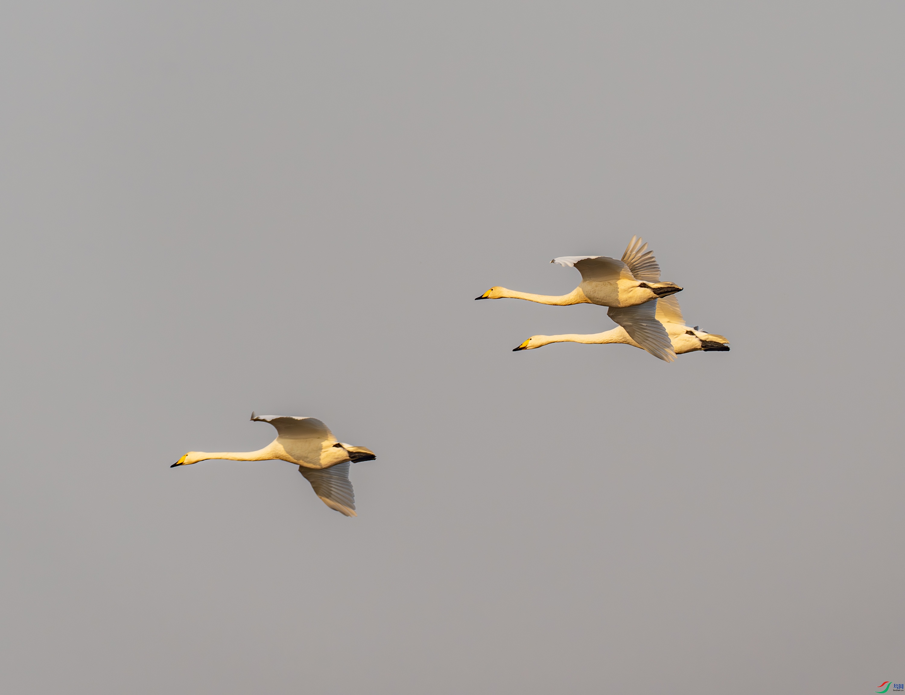 �����-02-7.jpg
