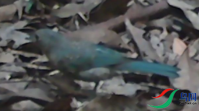 ScreenShot_2026-06-08_165821_307.png