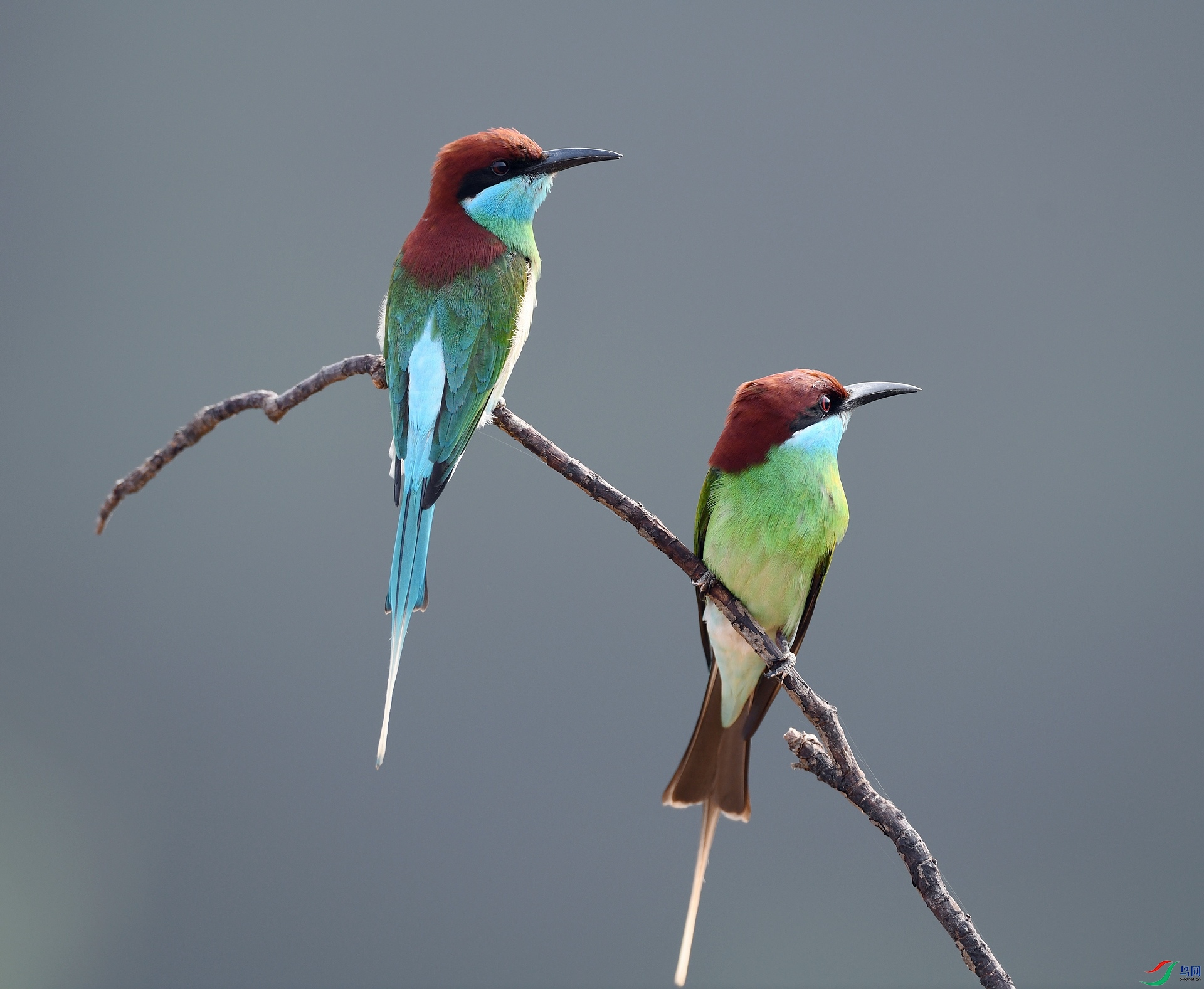 DSC_3271.jpg