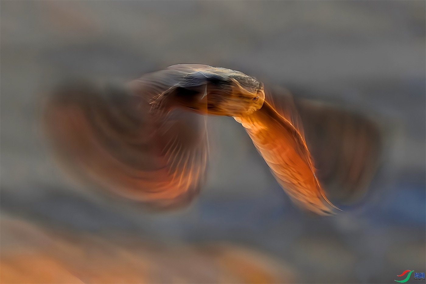΢��ͼƬ_20260602194720.jpg