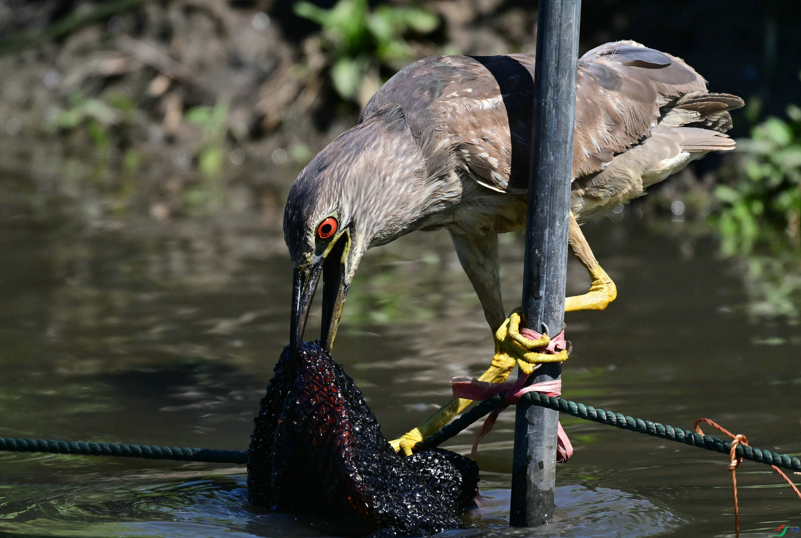DSC_7363.jpg