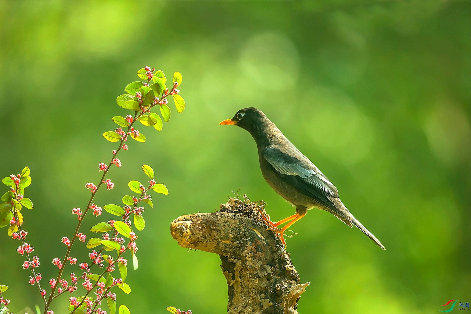 _E3T4204.jpg