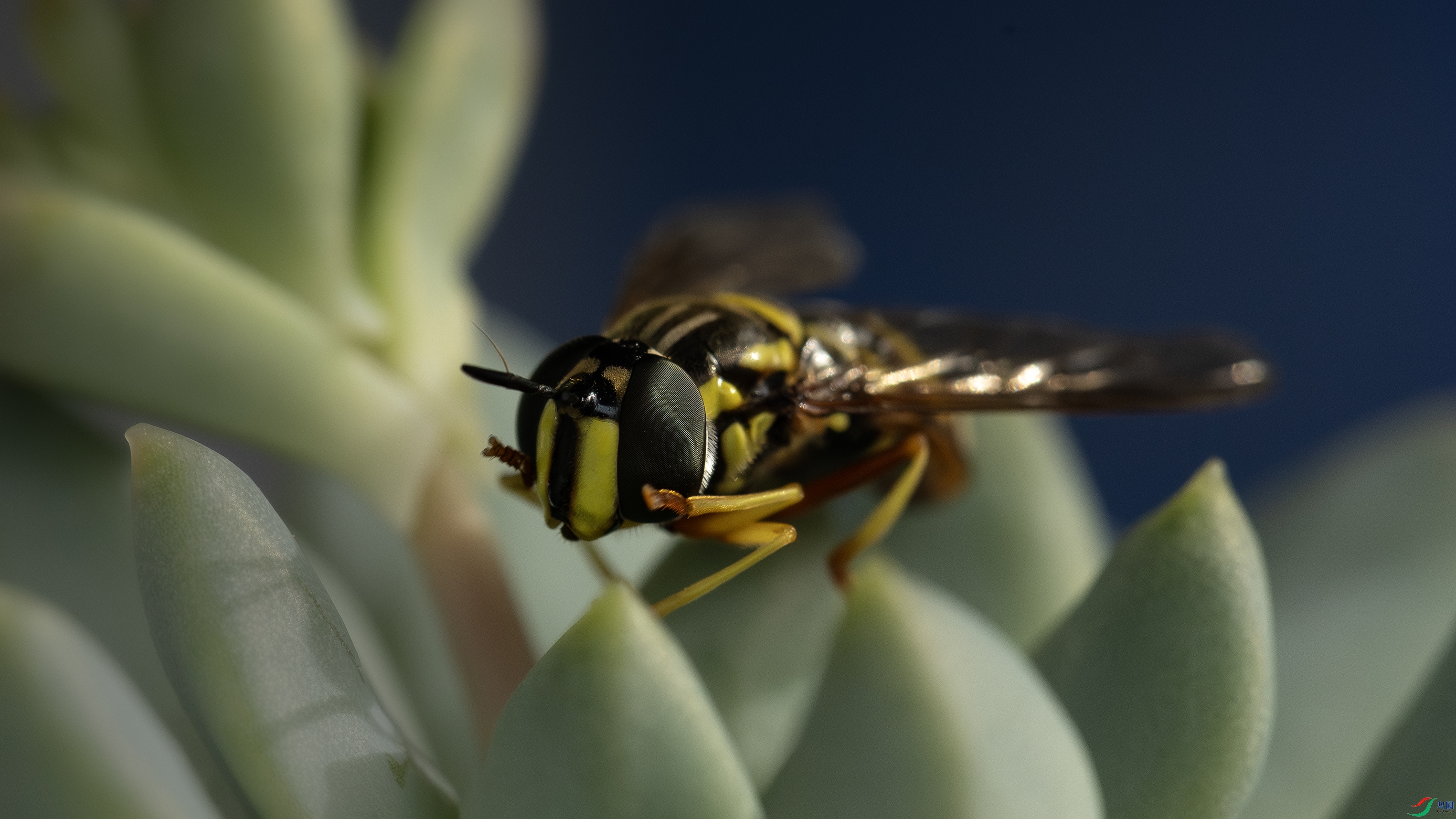 _O7A0010  777.jpg