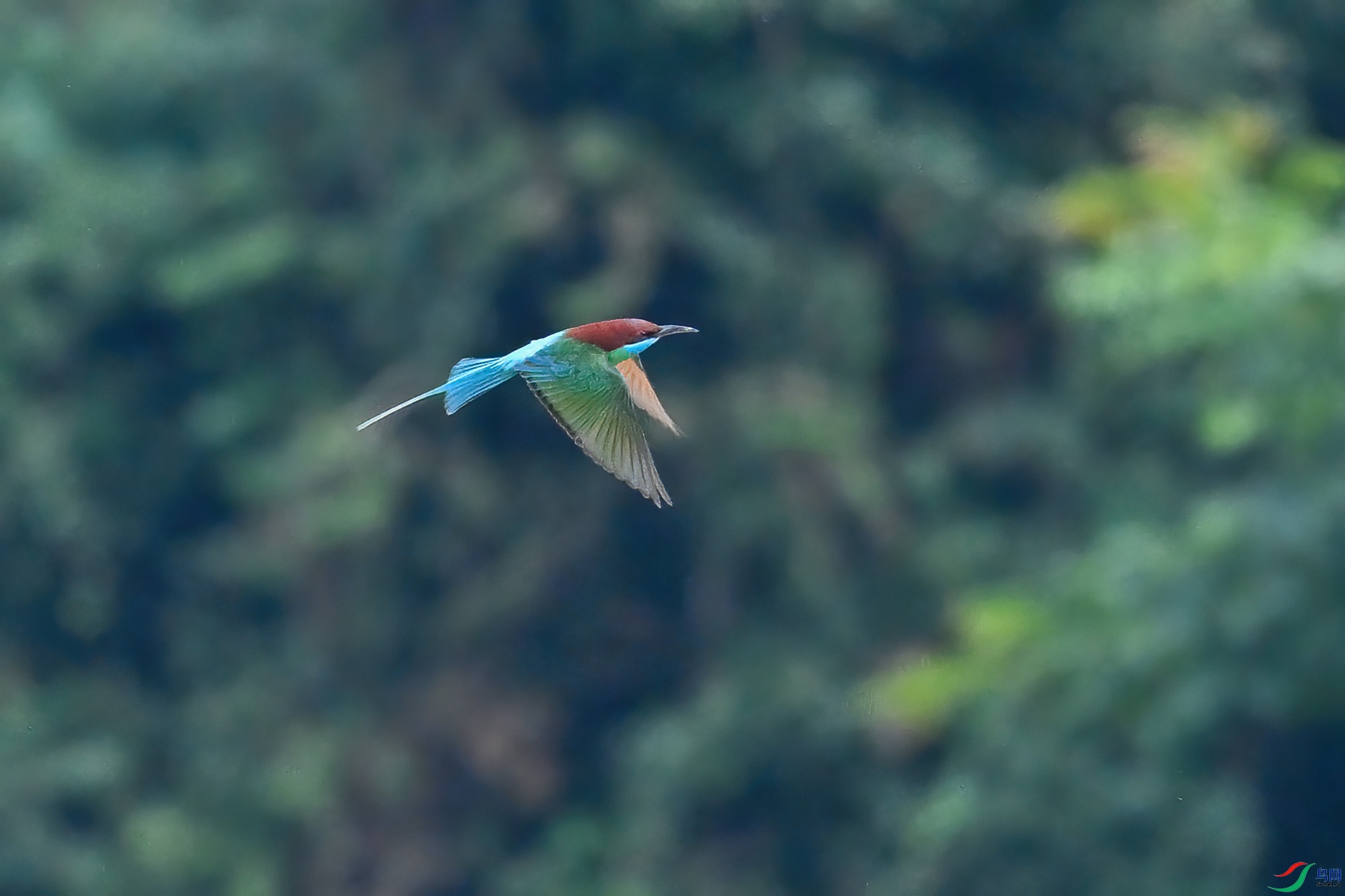 DSC_0514.JPG