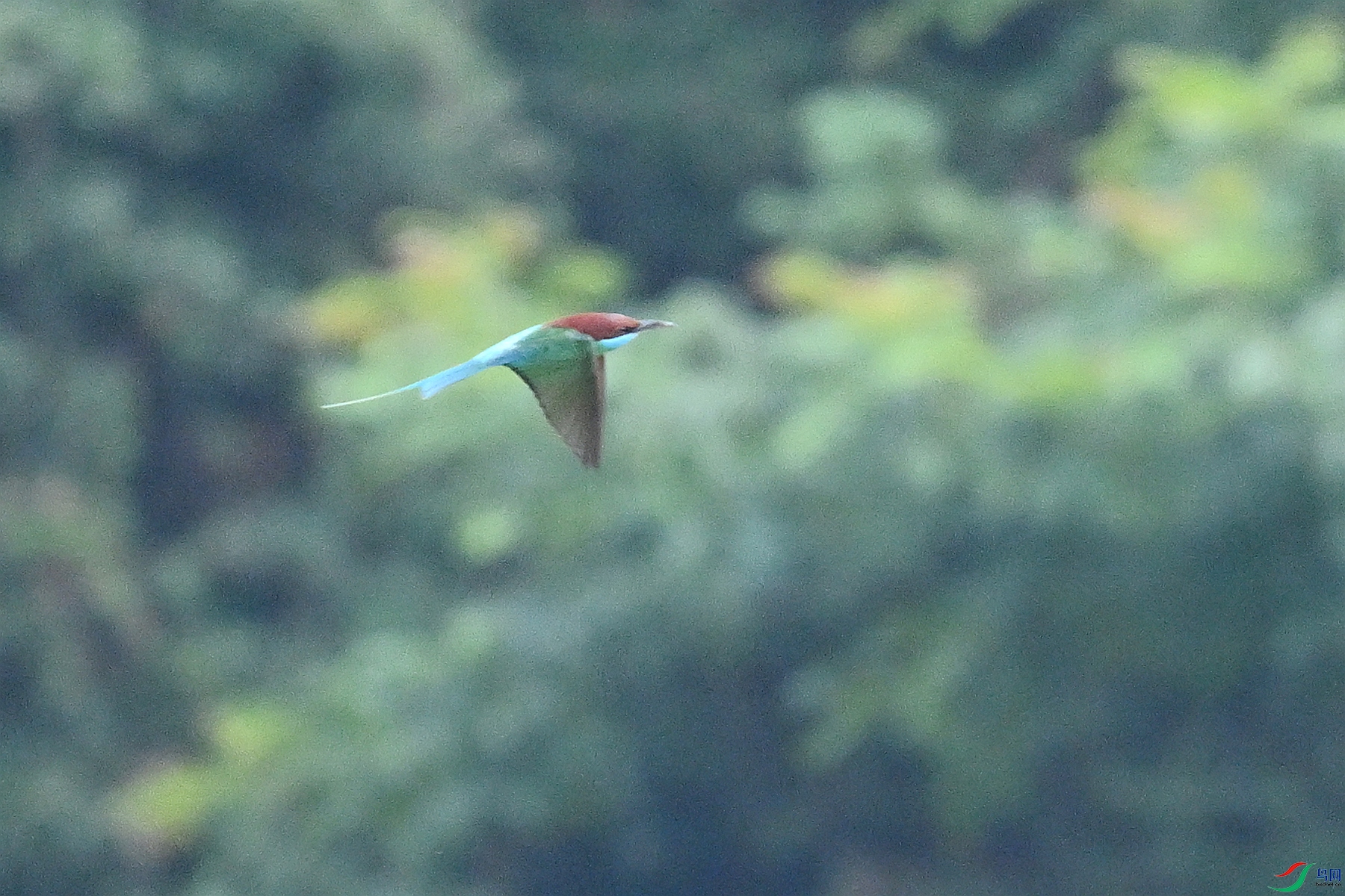 DSC_0516.JPG