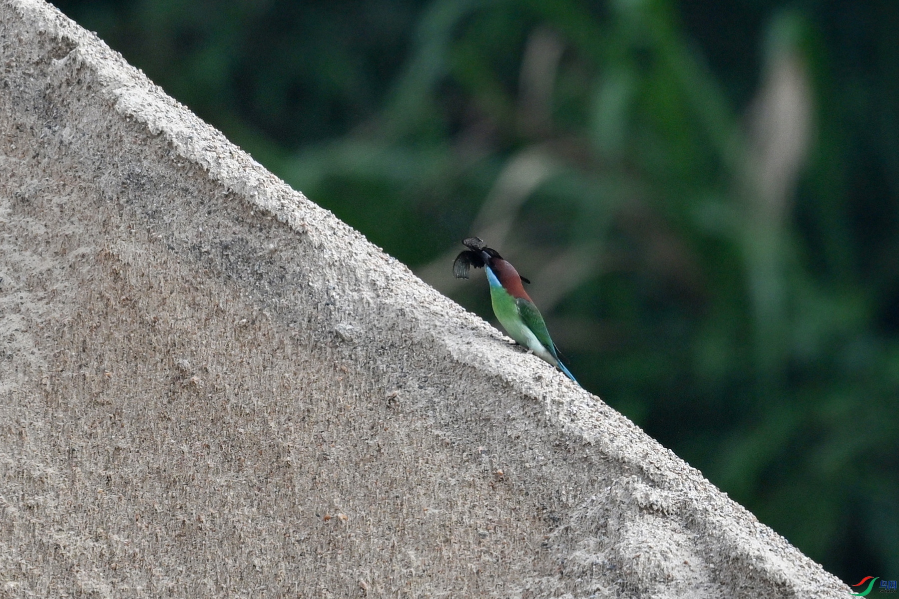 DSC_0505.JPG