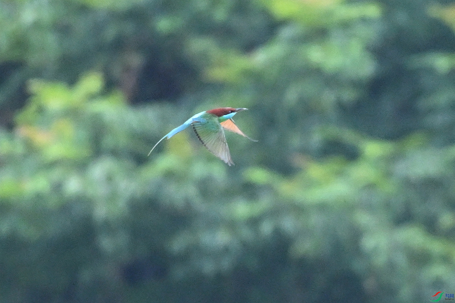 DSC_0519.JPG